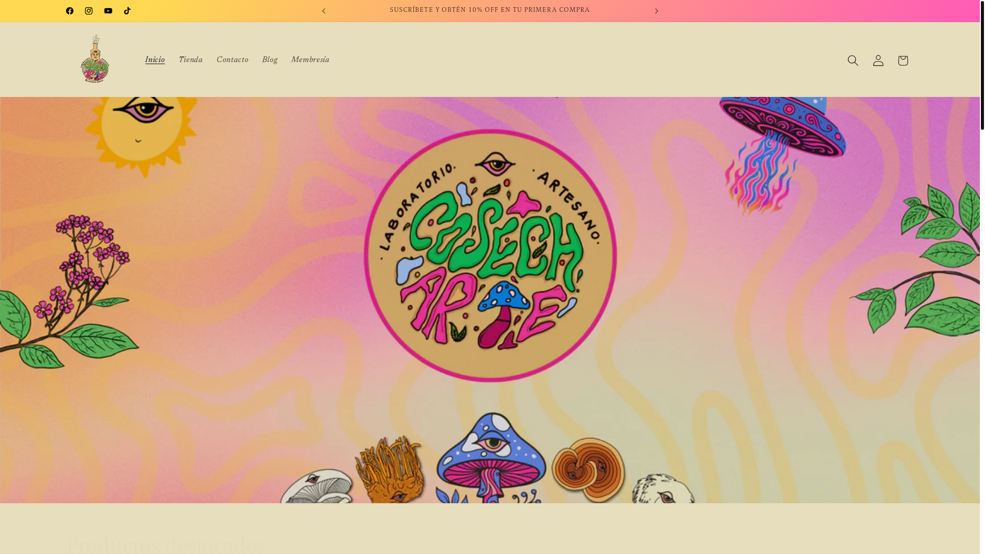 website screenshot of https://cosecharte.com/