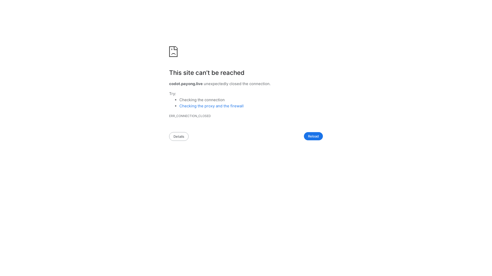 website screenshot of https://codot.payong.live/pay