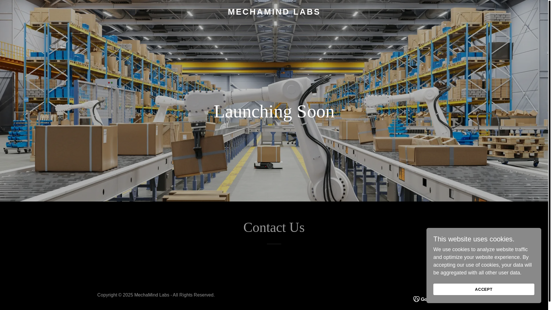website screenshot of https://mechamindlabs.com/