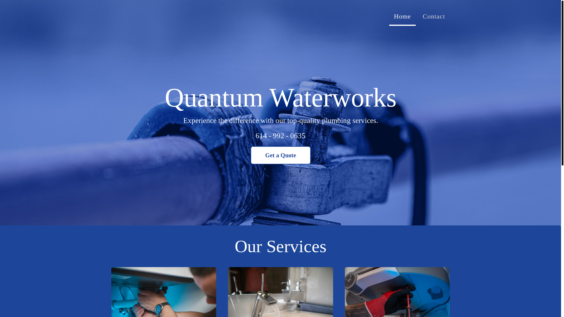 website screenshot of https://thequantumbiz.com/