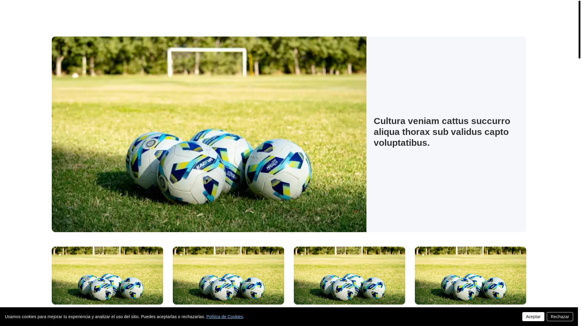 website screenshot of https://sportsteamtemplate.com/