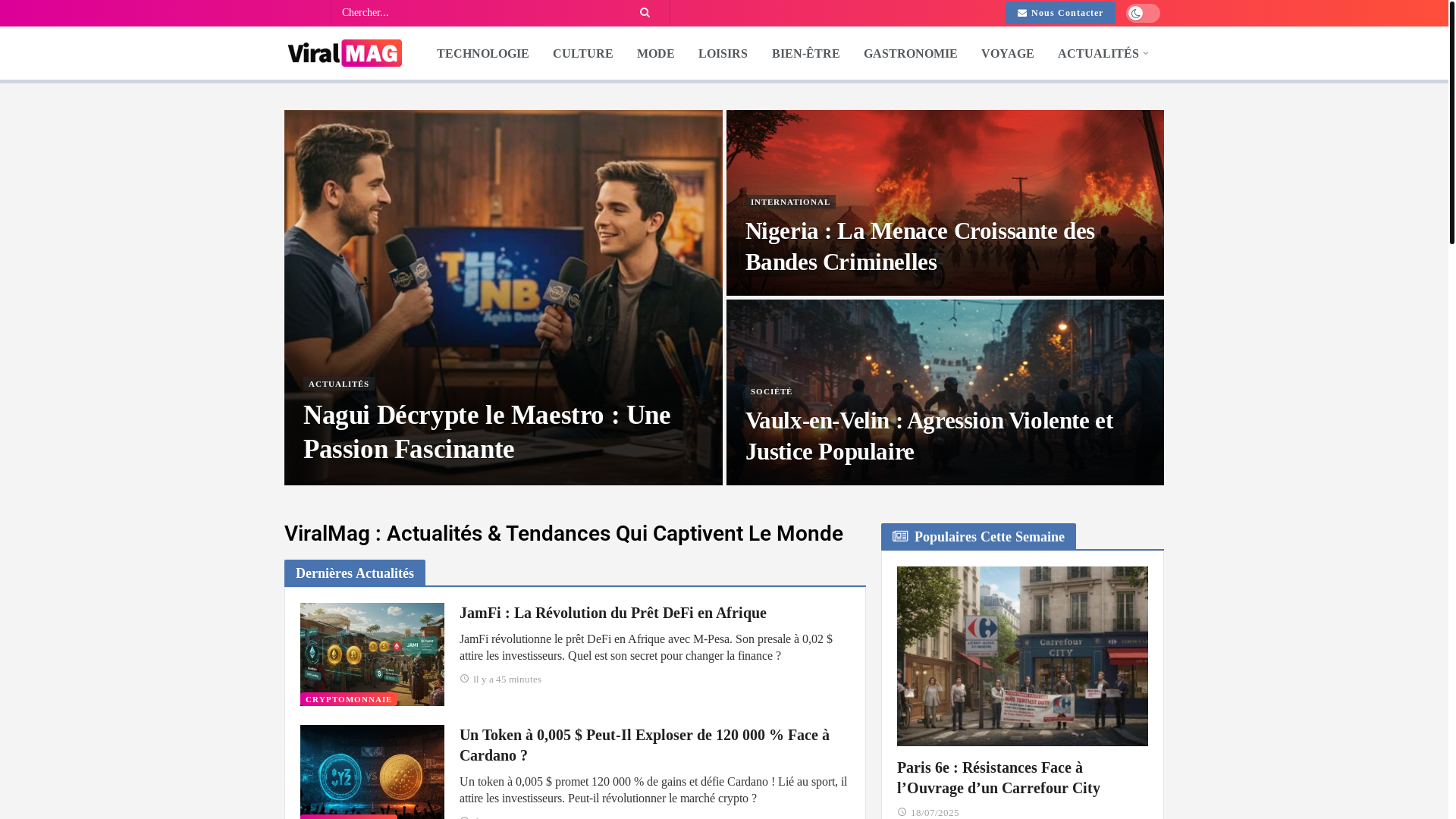 website screenshot of https://viralmag.fr/