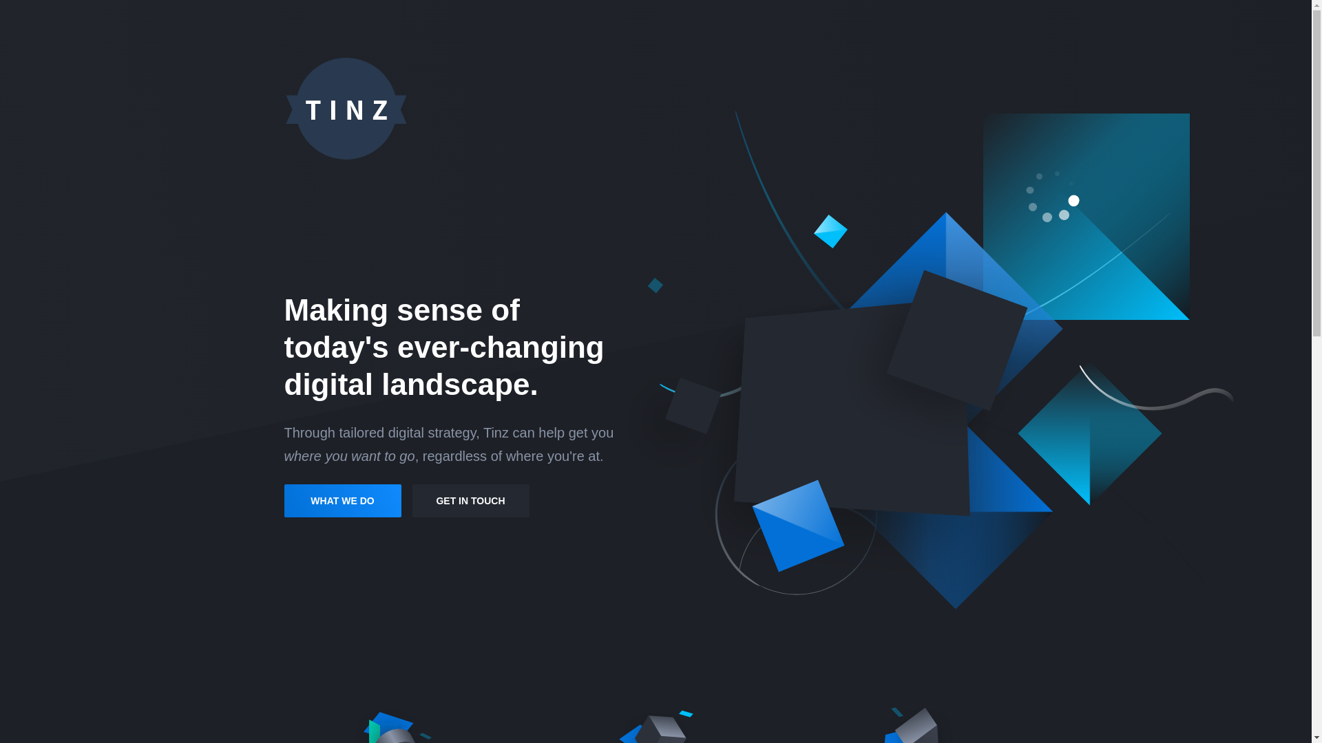 website screenshot of https://tinz.ca/