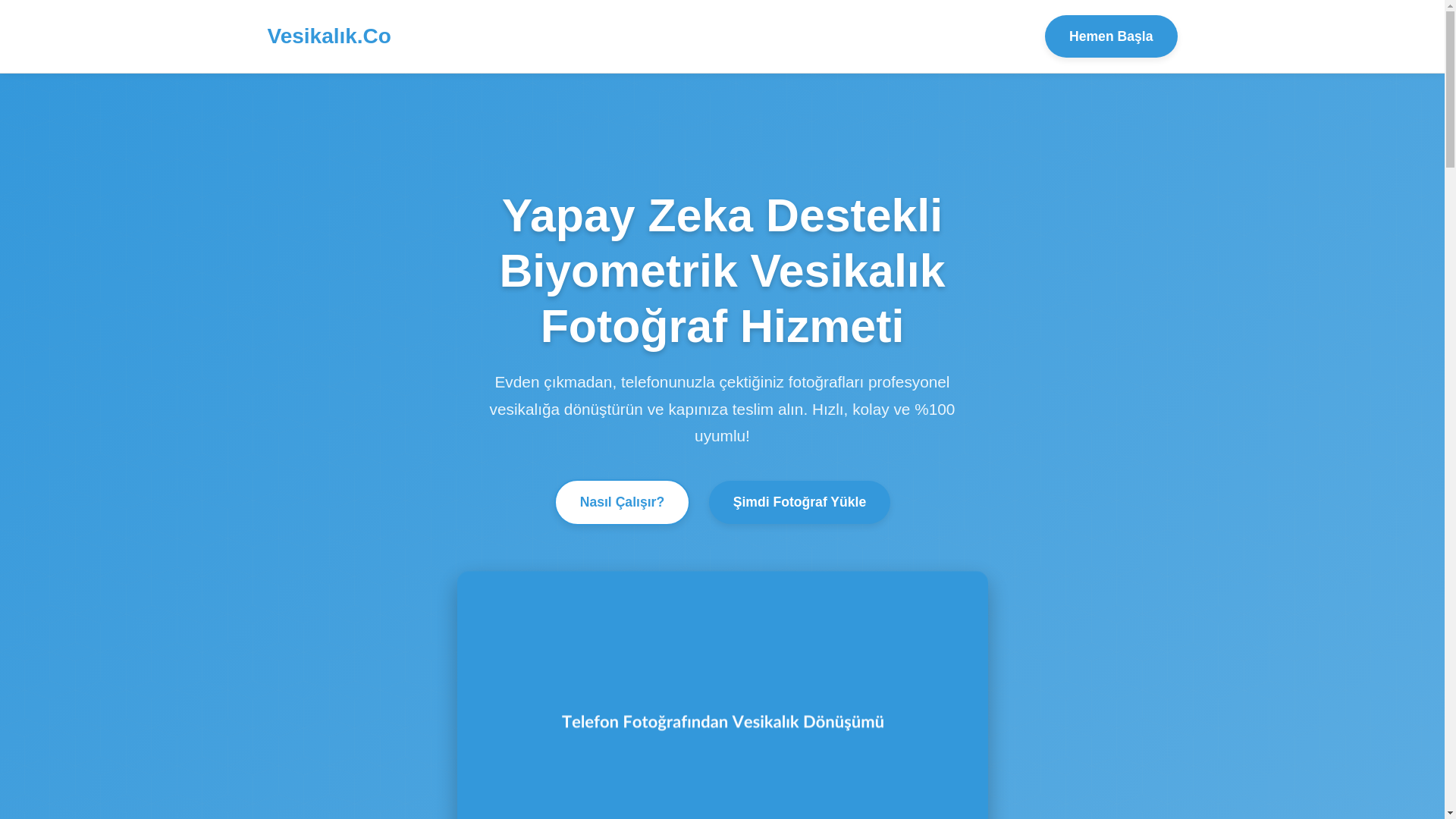 website screenshot of https://vesikalik.co/