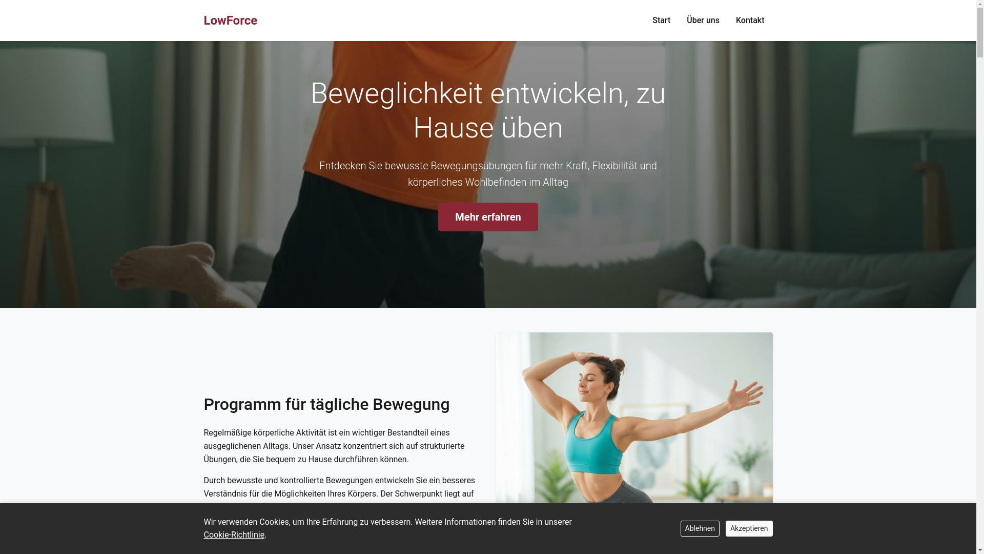 website screenshot of https://lowforcefg.info/
