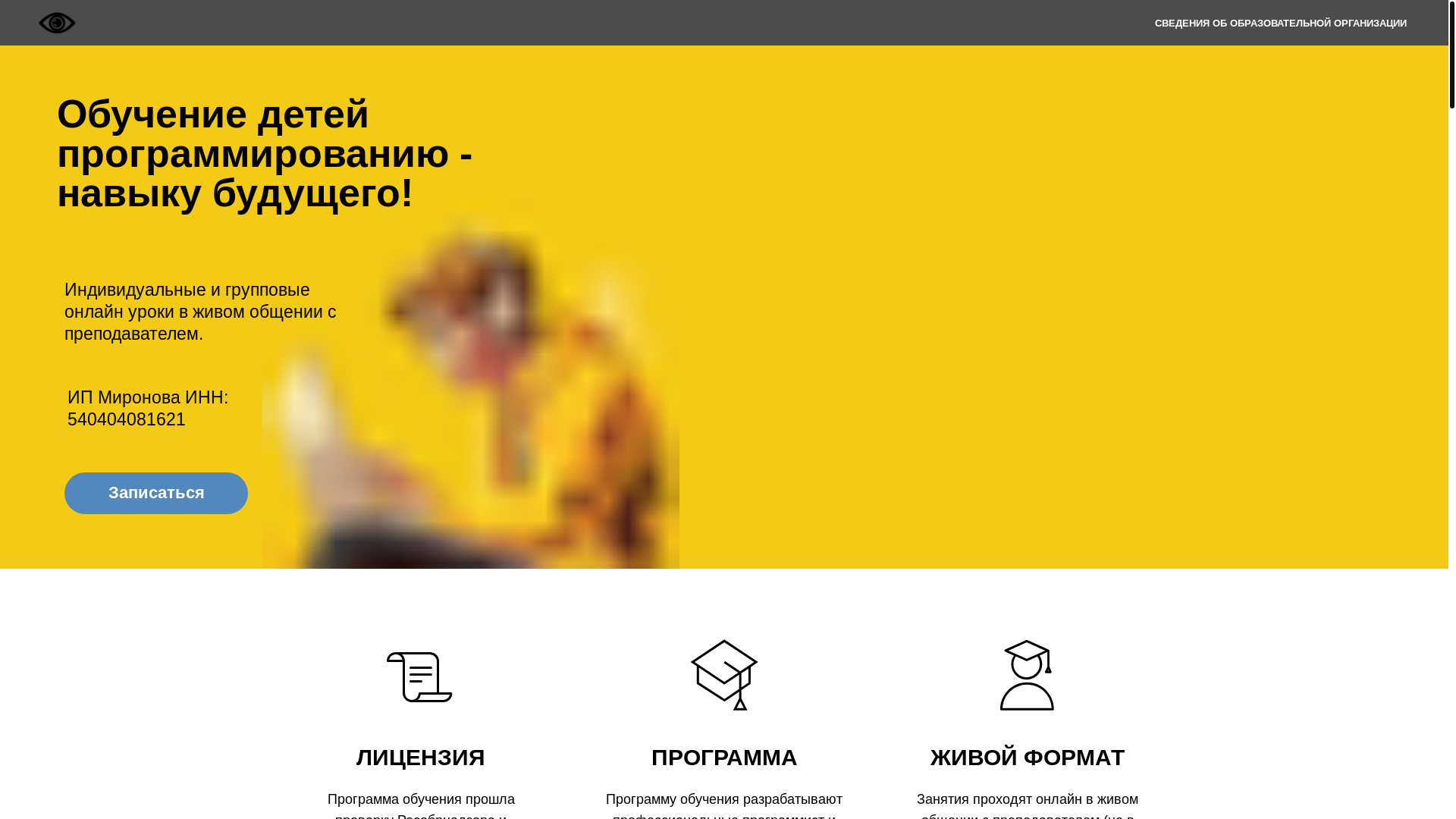 website screenshot of https://robicode.ru/