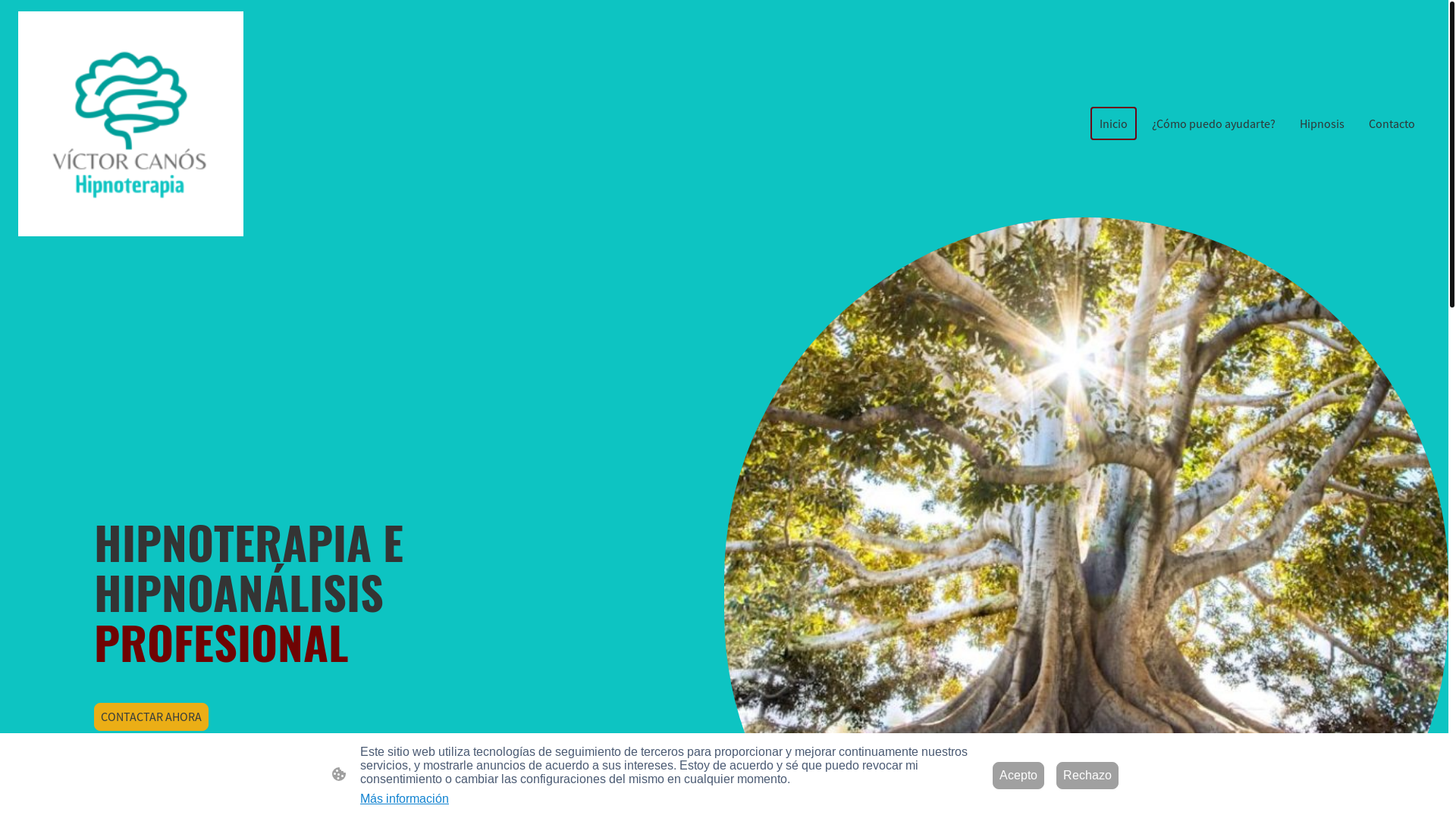 website screenshot of https://victorcanos.com/