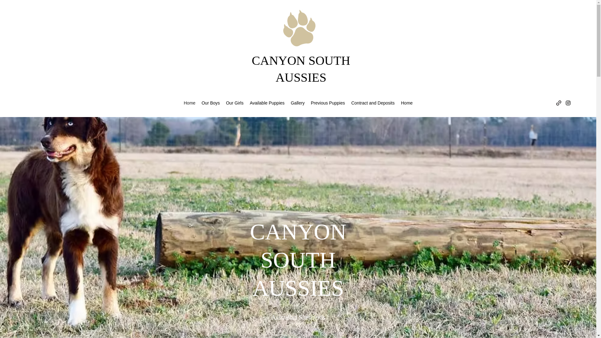 website screenshot of https://canyonsouthaussies.com/