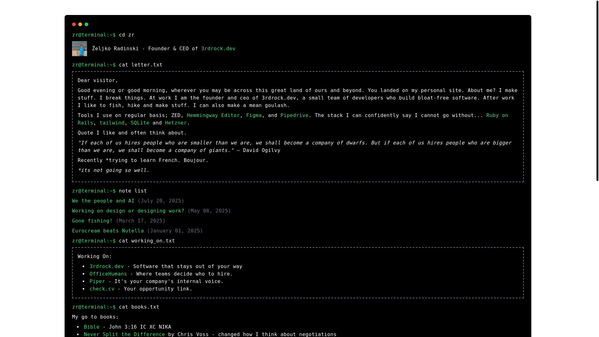 website screenshot of https://zrterminal.pages.dev/