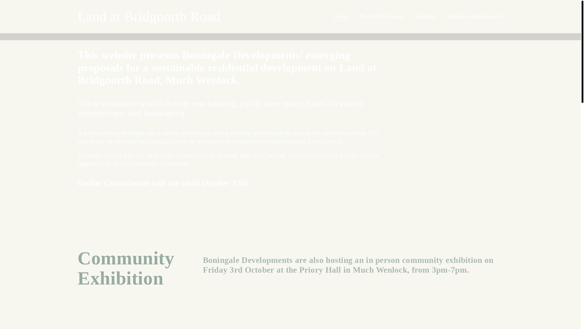 website screenshot of https://bridgnorthroad.co.uk/