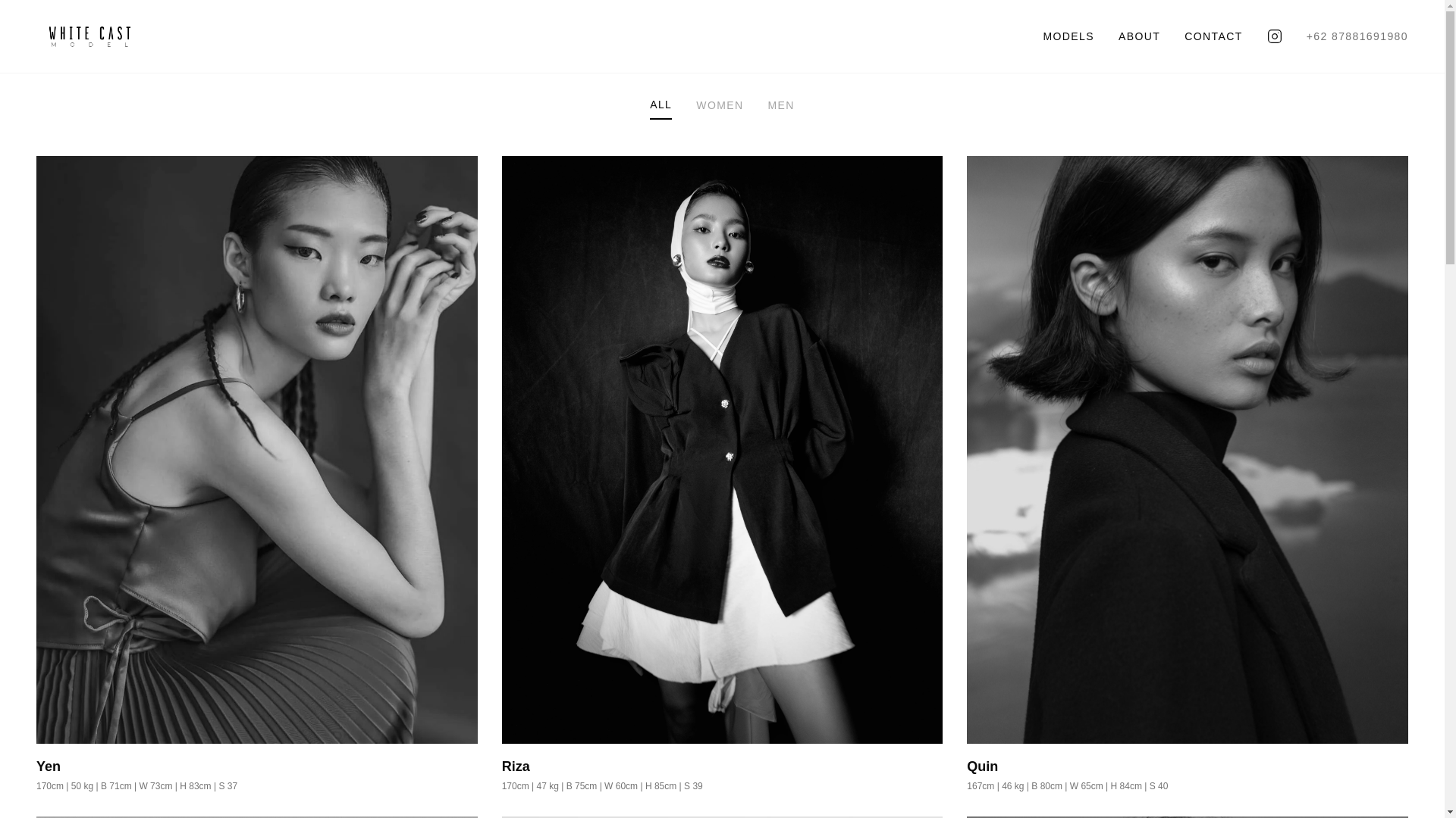 website screenshot of https://whitecastmodel.com/