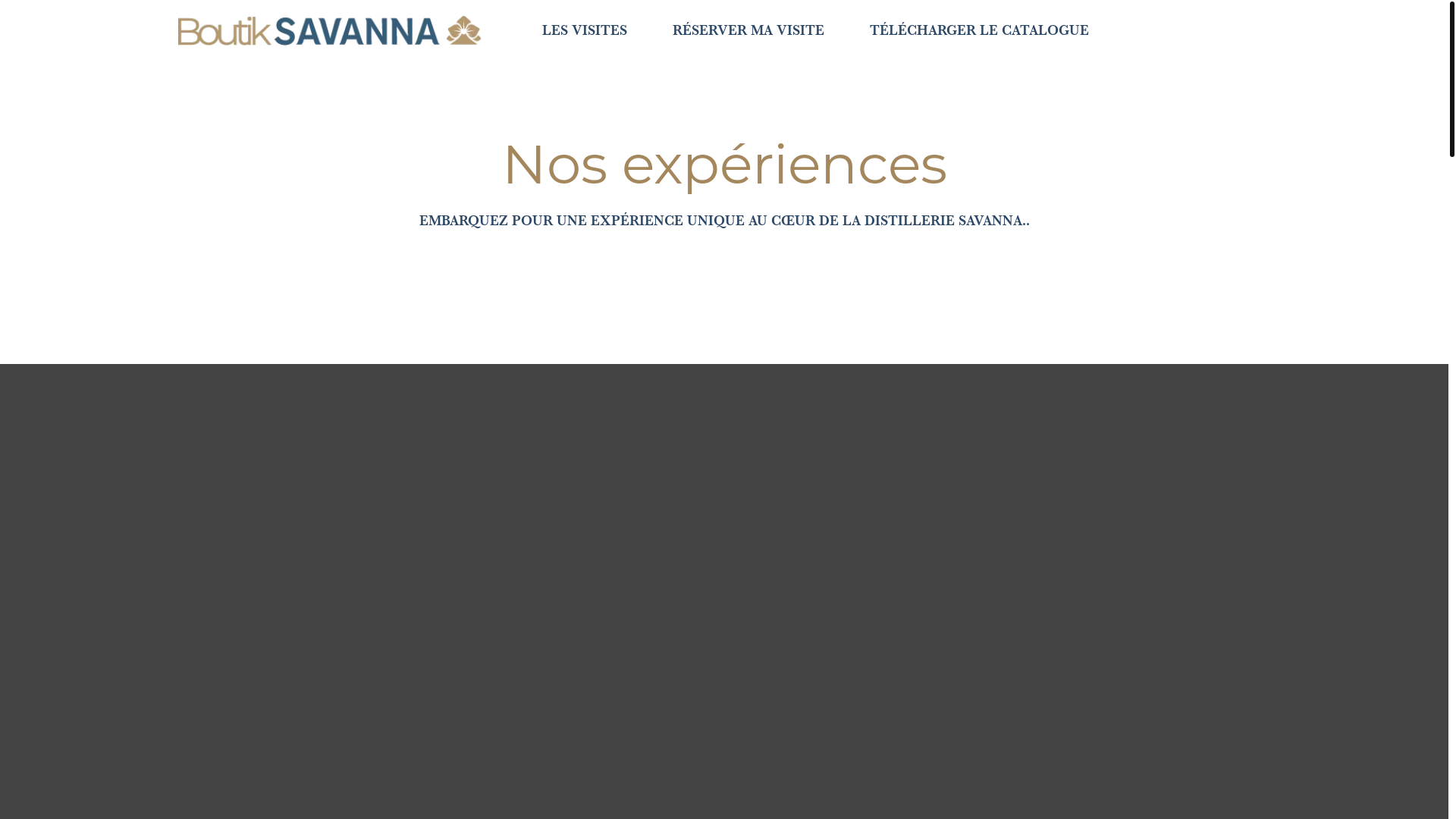 website screenshot of https://boutik-savanna.re/