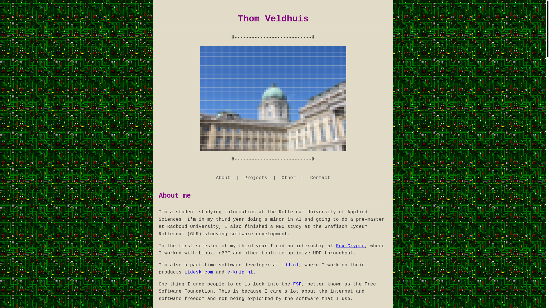 website screenshot of https://thomveldhuis.xyz/