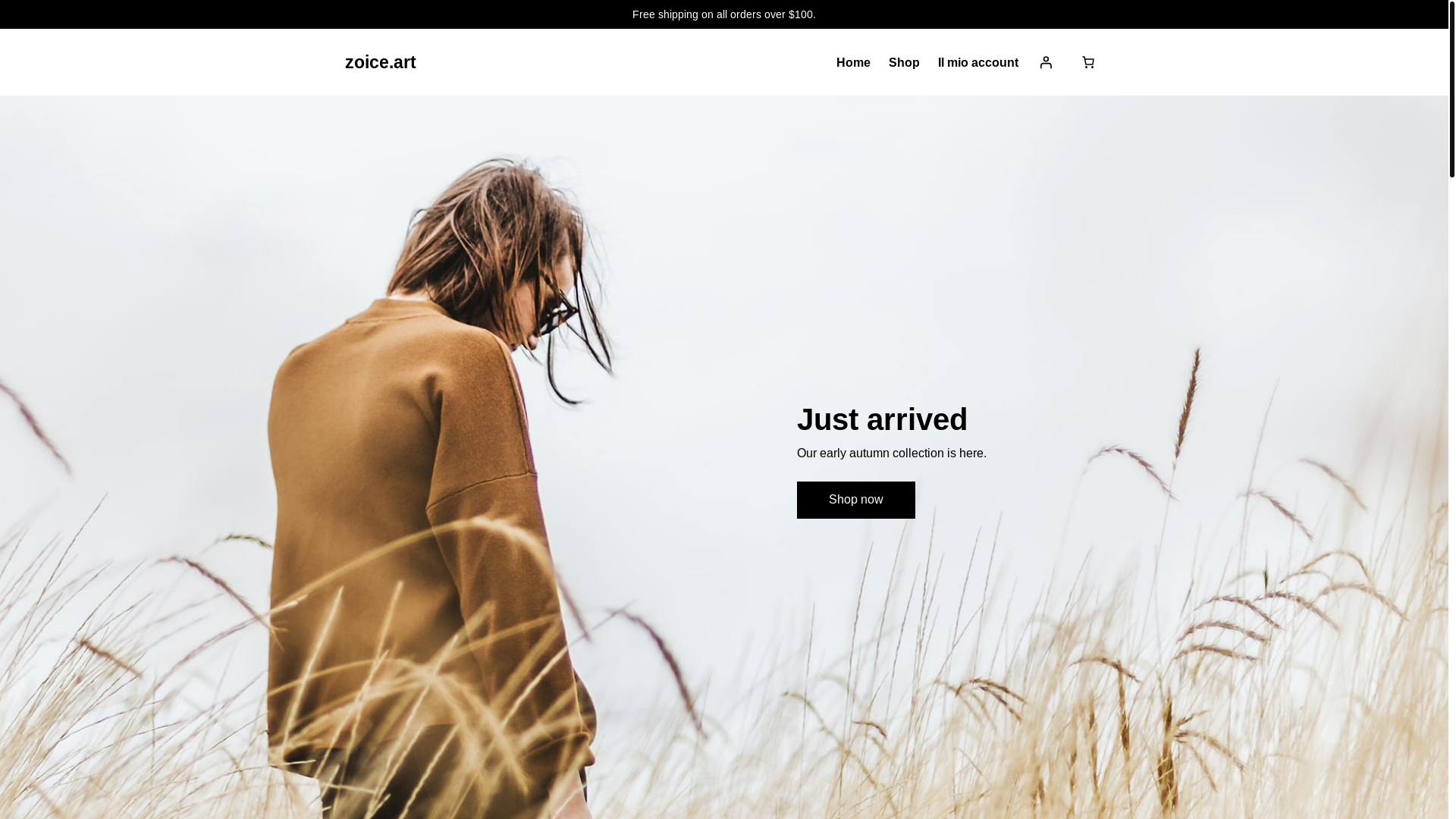 website screenshot of https://zoice.art/