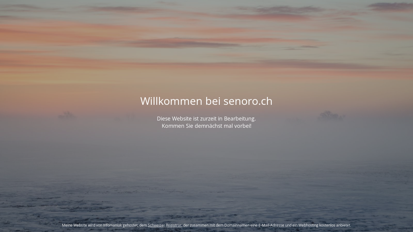 website screenshot of https://senoro.ch/