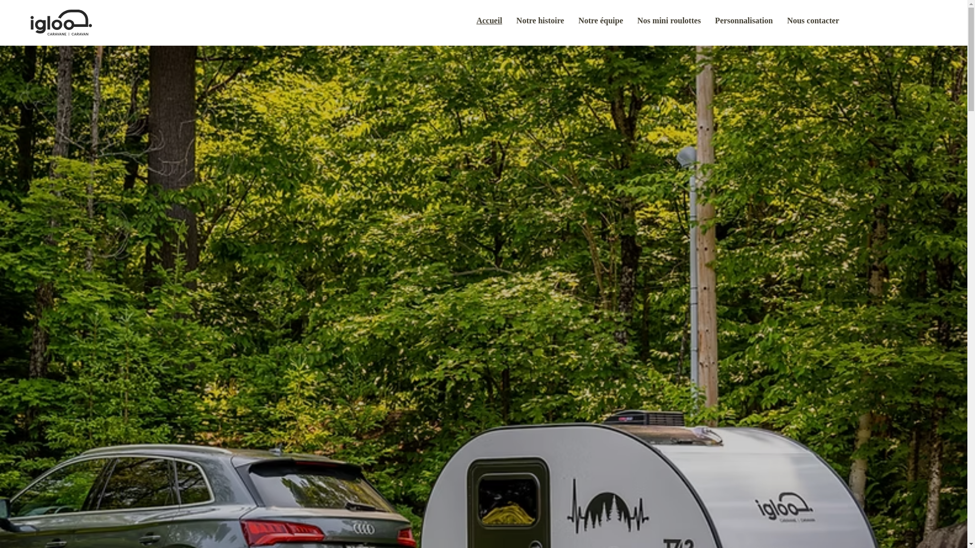 website screenshot of https://miniroulotte.ca/