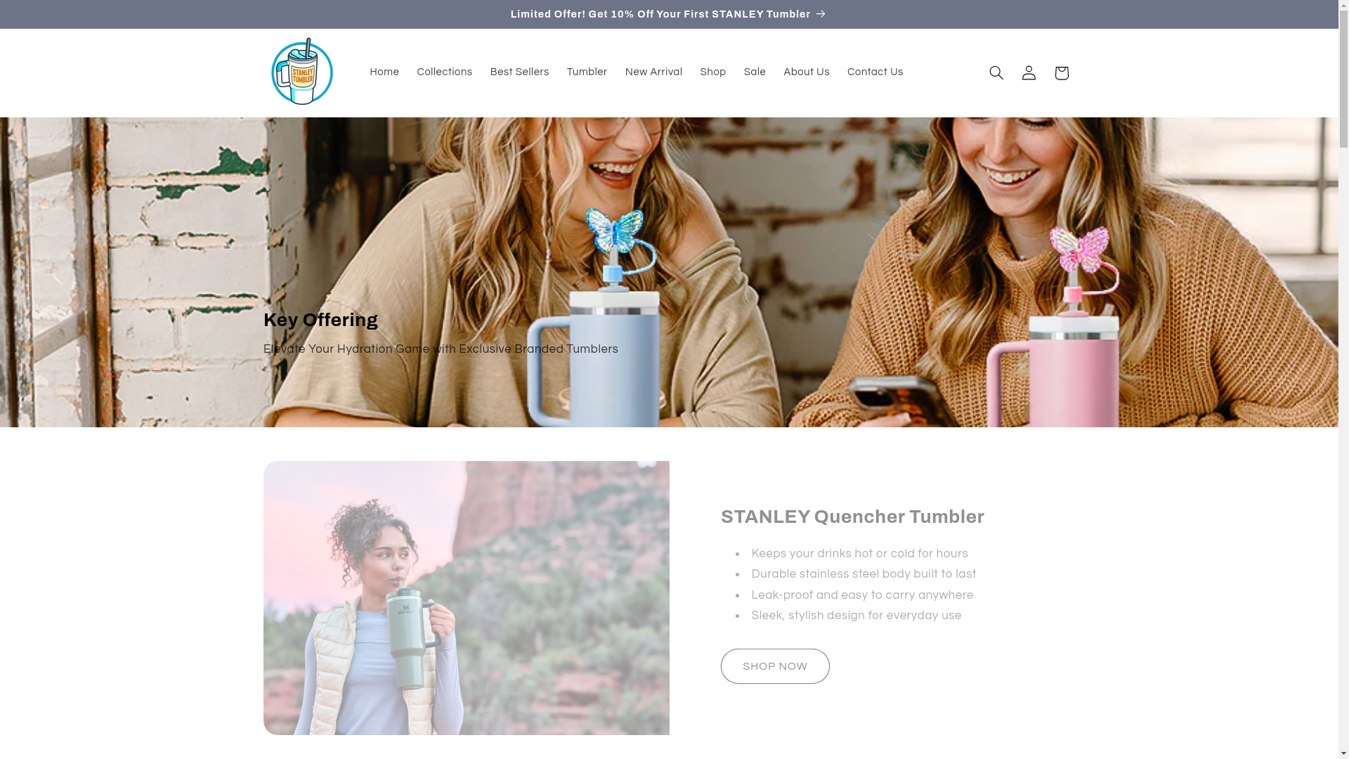 website screenshot of https://stanleytumbler.pk/