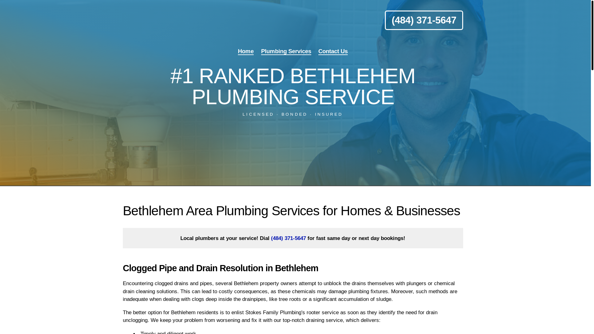 website screenshot of https://stokesplumbing.pro/