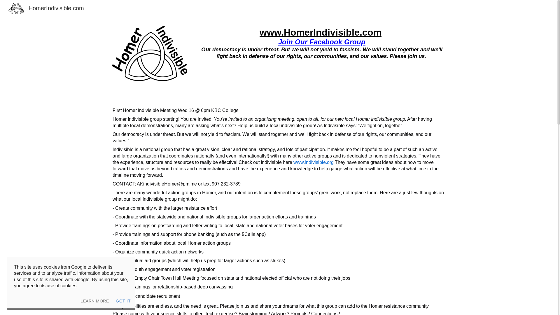 website screenshot of https://homerindivisible.com/