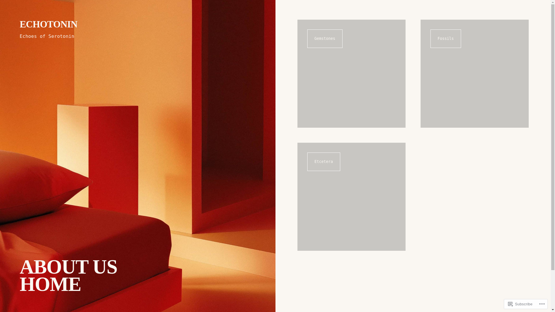 website screenshot of https://echotonin.com/