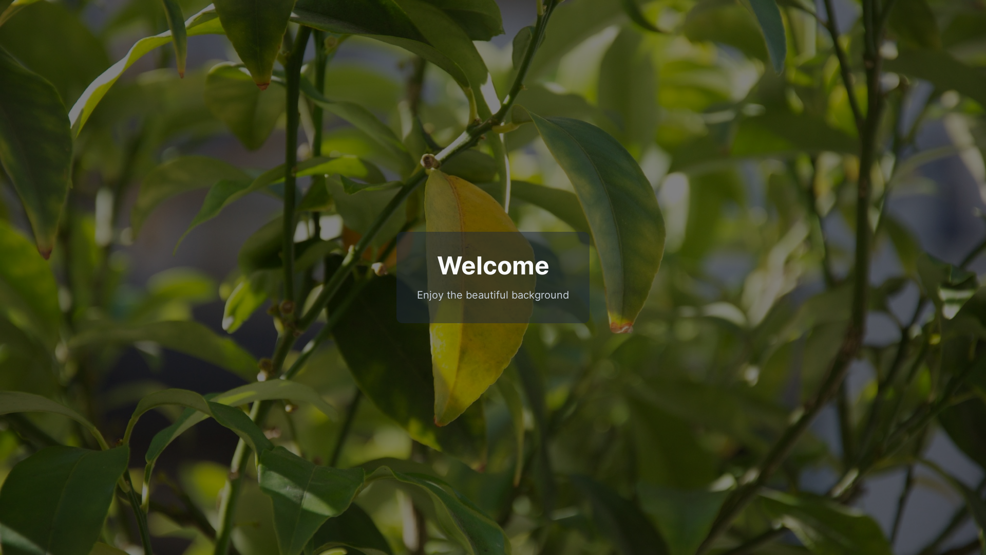 website screenshot of https://mobile-project-1753523006783.pages.dev/