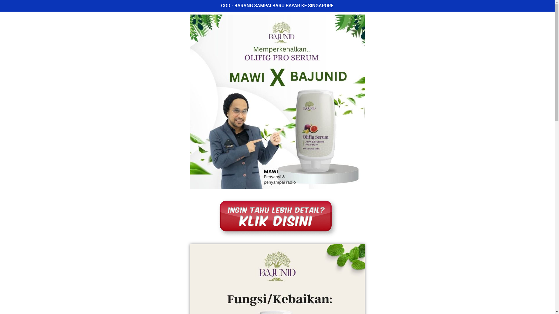 website screenshot of https://maajunbondasg.com/