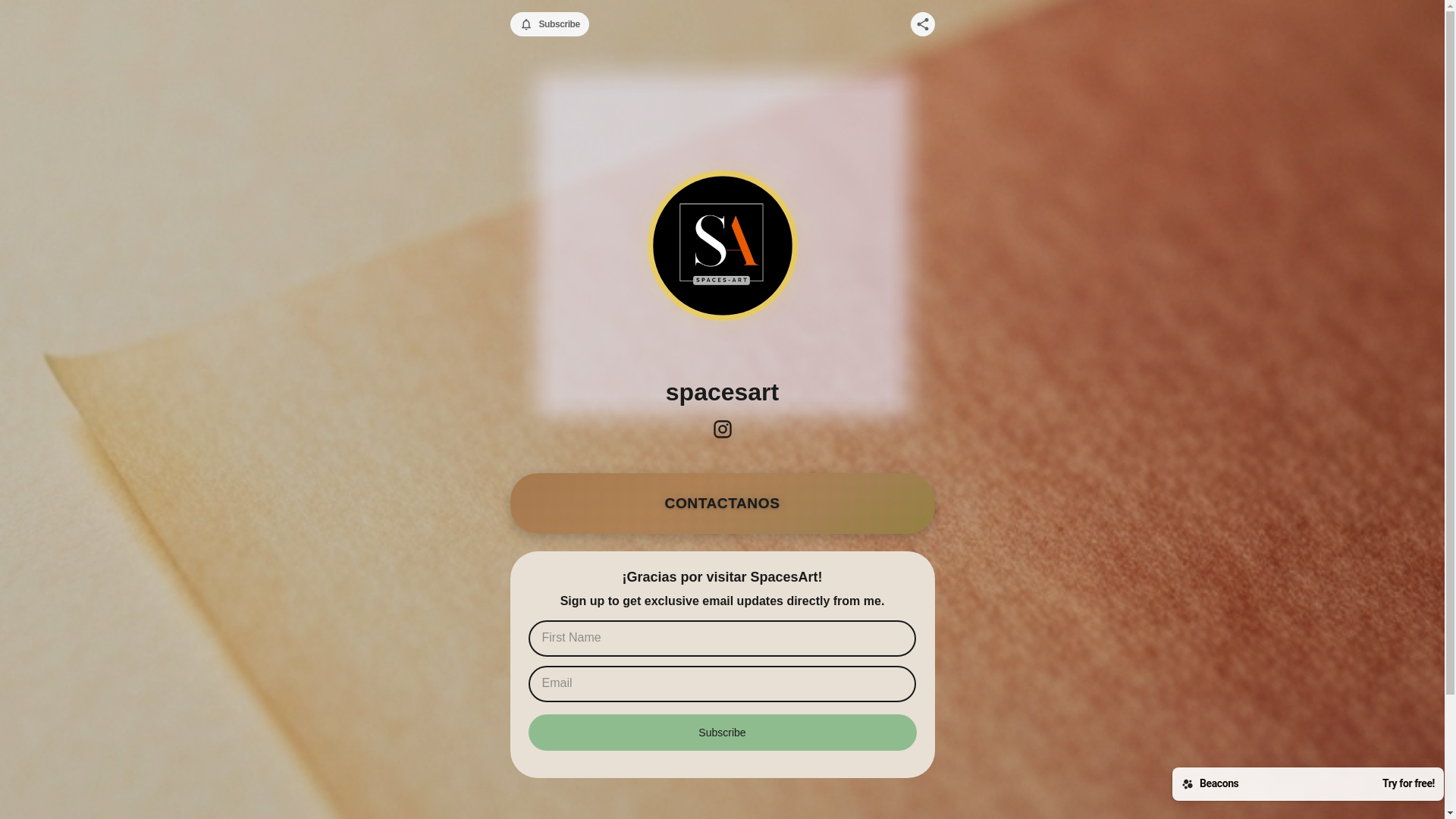 website screenshot of https://spacesart.store/