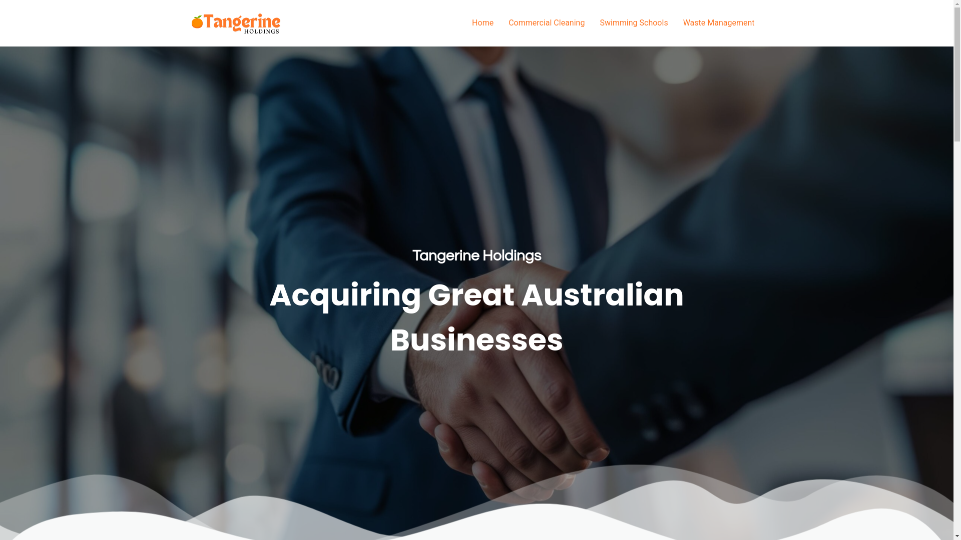 website screenshot of https://tangerineholdings.com.au/