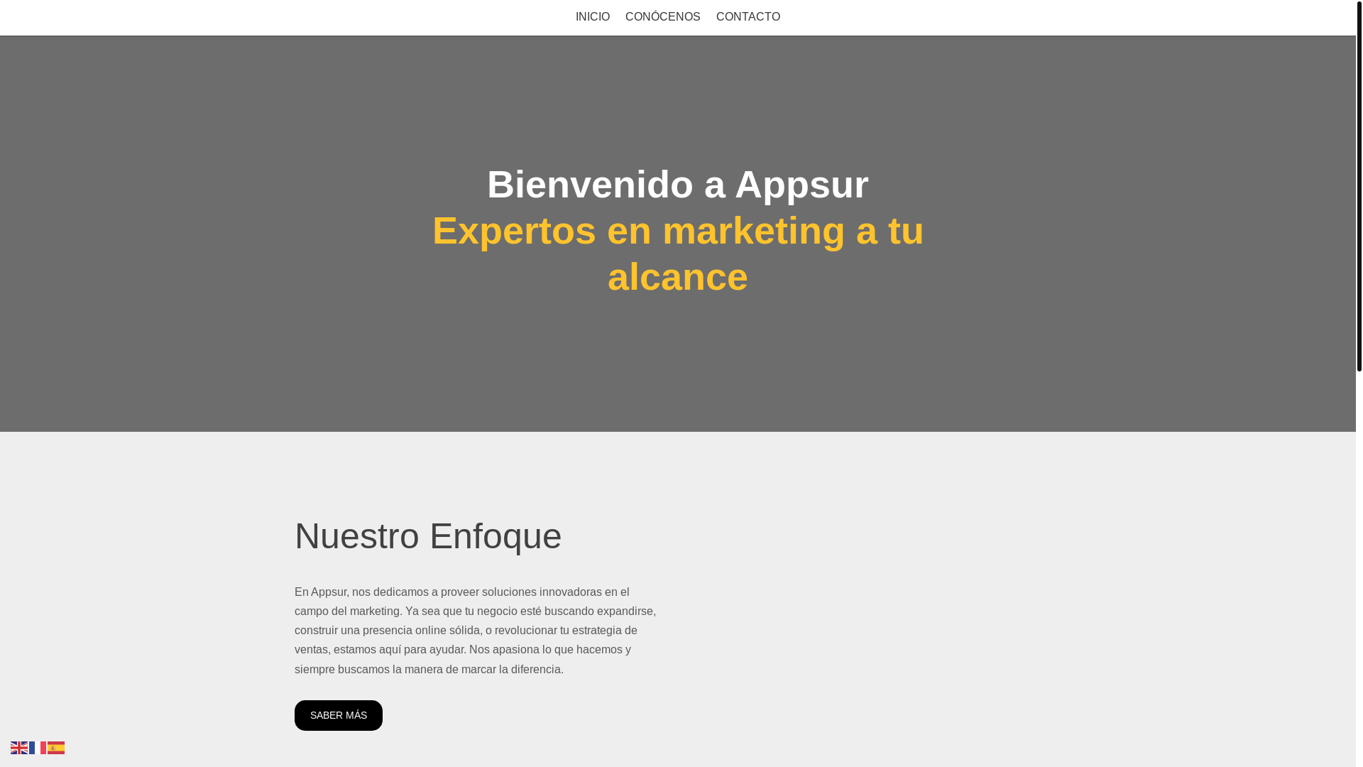 website screenshot of https://cristiandeluisferrandis.es/
