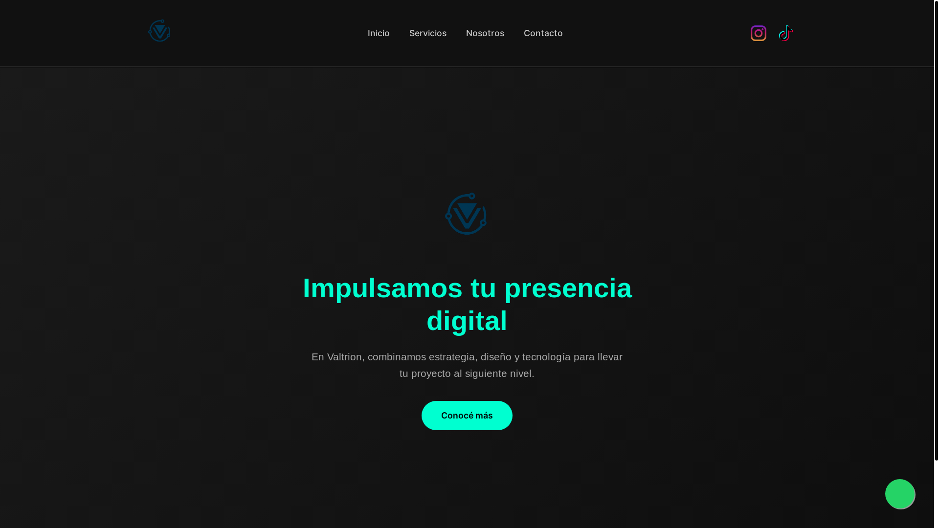 website screenshot of https://valtrion.com.ar/