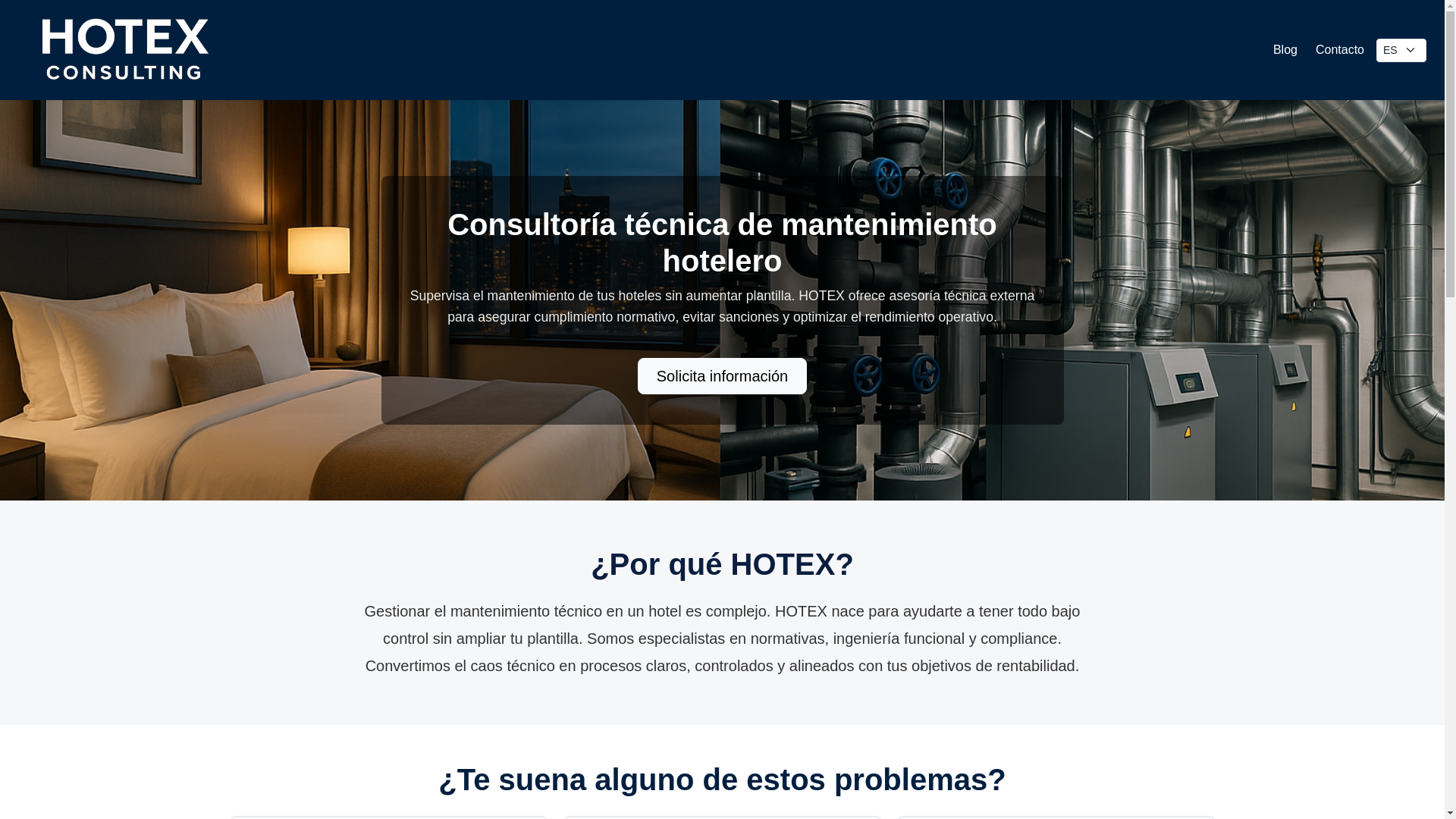 website screenshot of https://hotex-consulting.com/