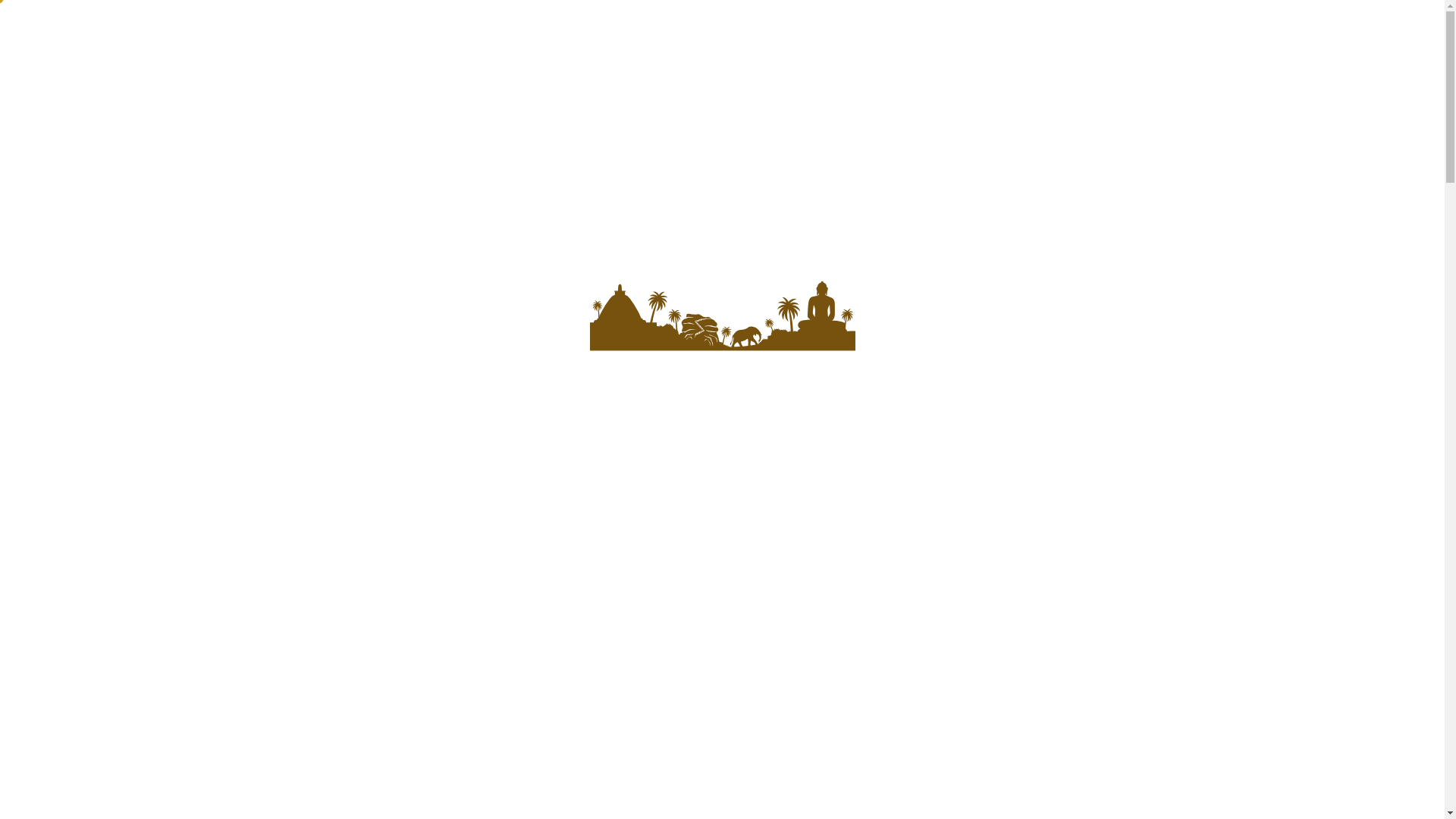 website screenshot of https://ciaolankatours.com/