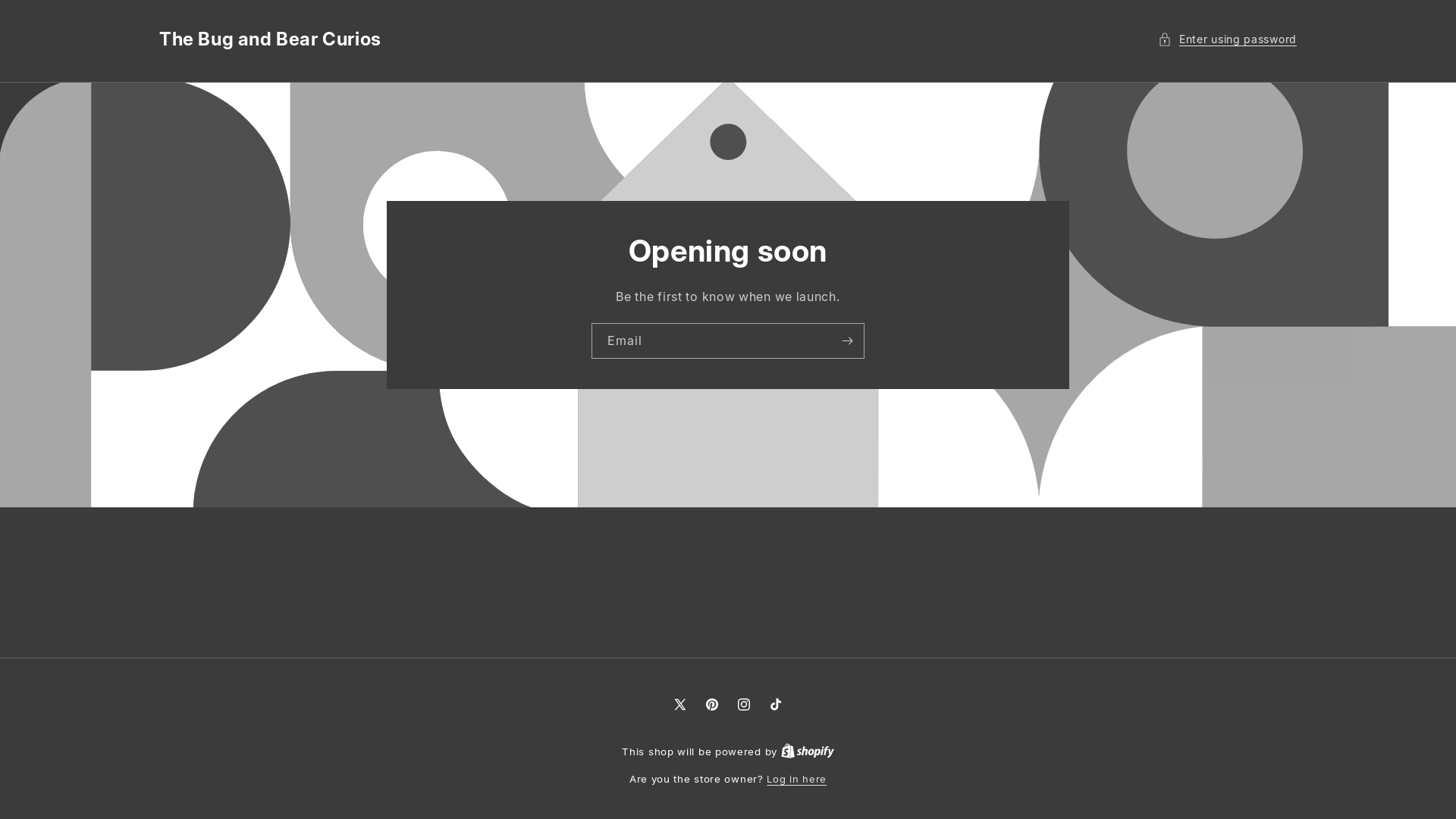website screenshot of https://thebugandbearcurios.ca/