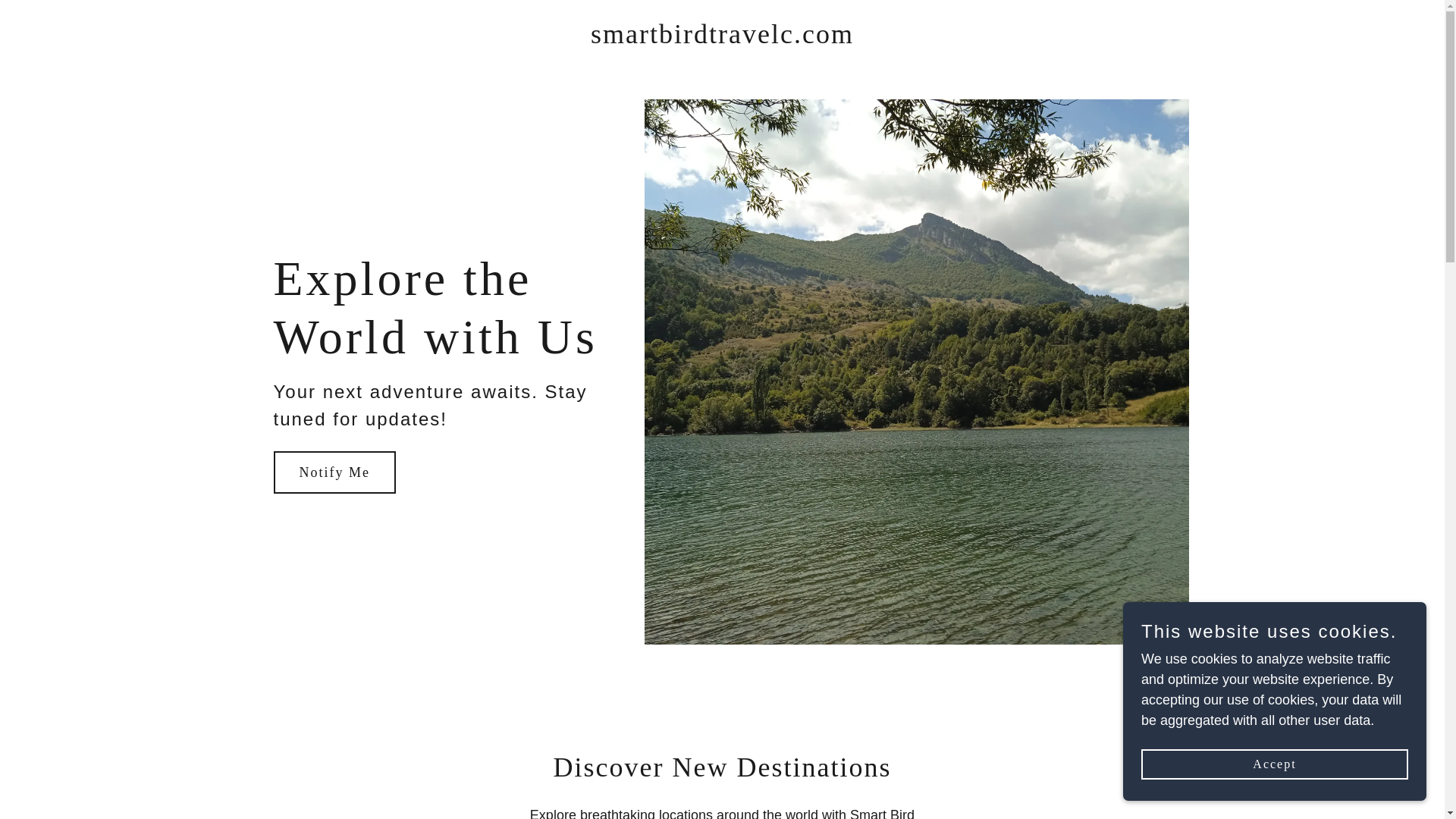 website screenshot of https://smartbirdtravelc.com/