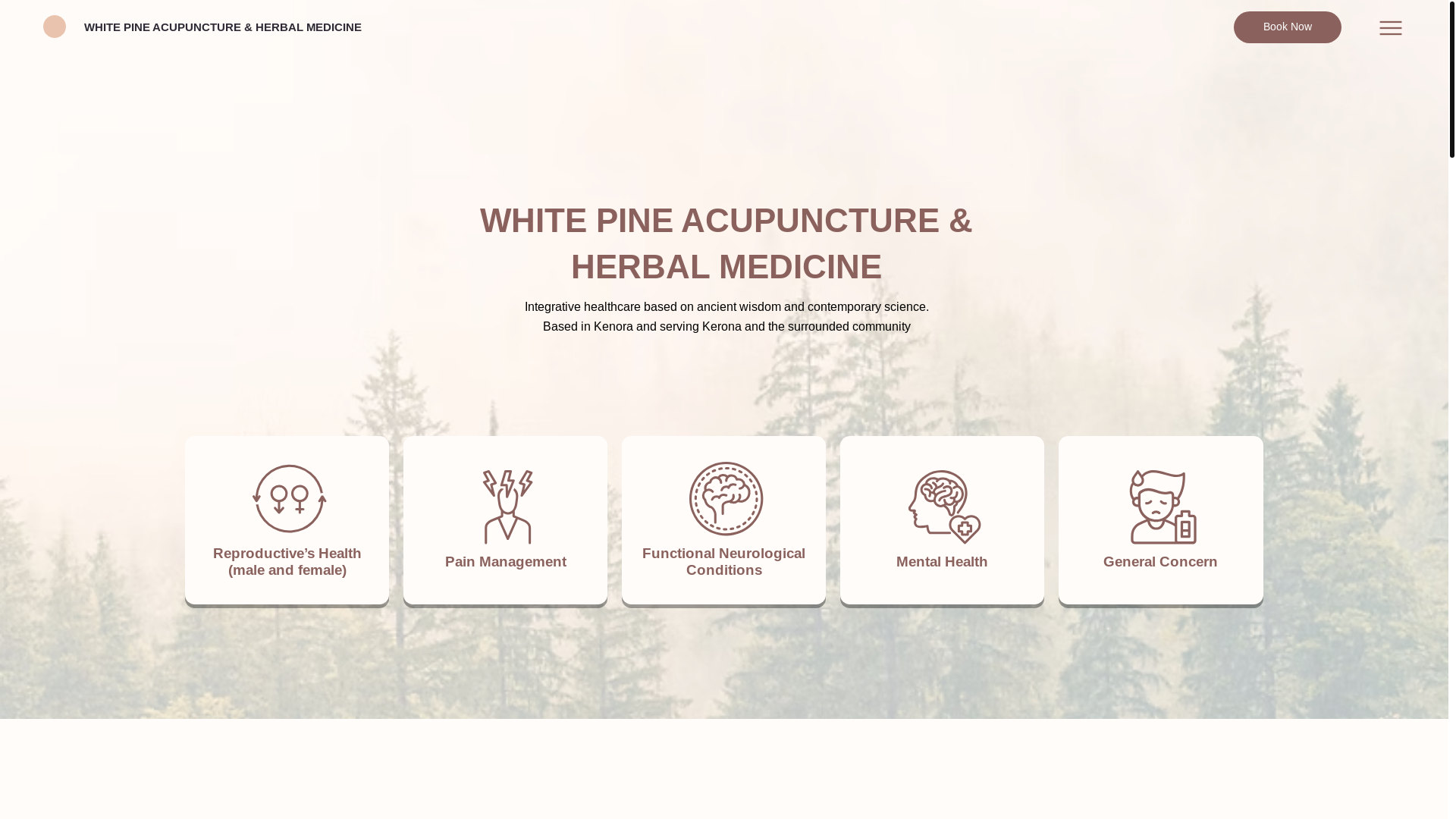 website screenshot of https://whitepineacu.com/