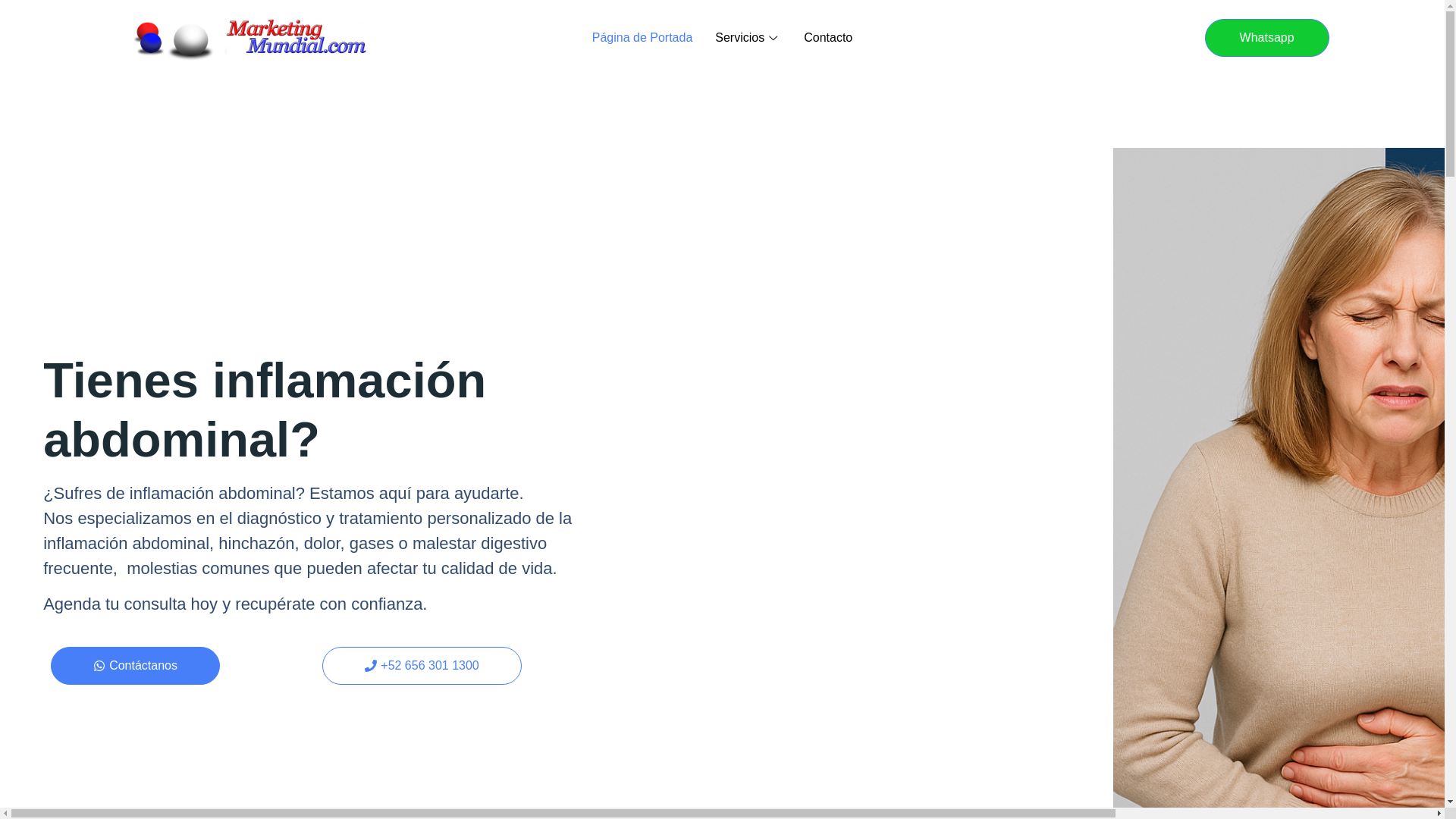 website screenshot of https://drarmandocastillopena.com/