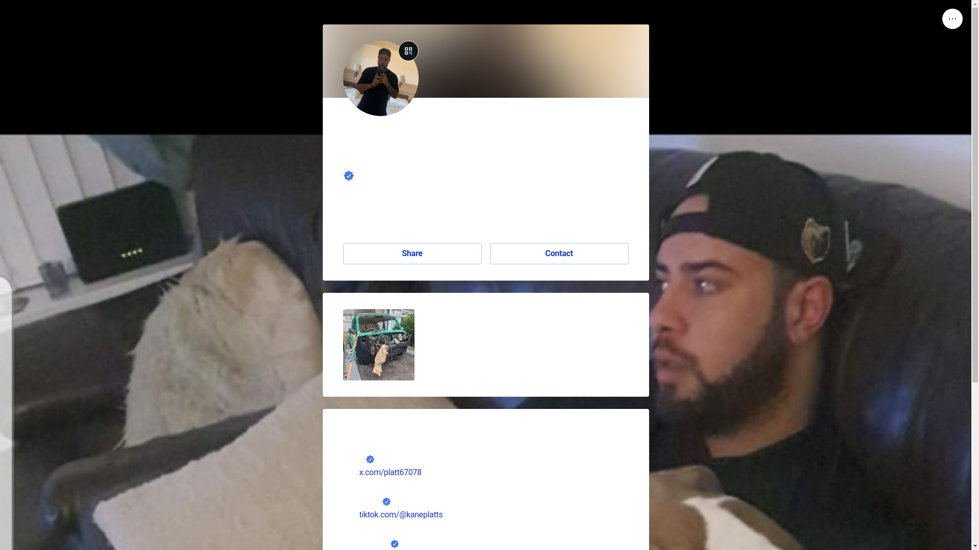 website screenshot of https://kaneplatts.link/