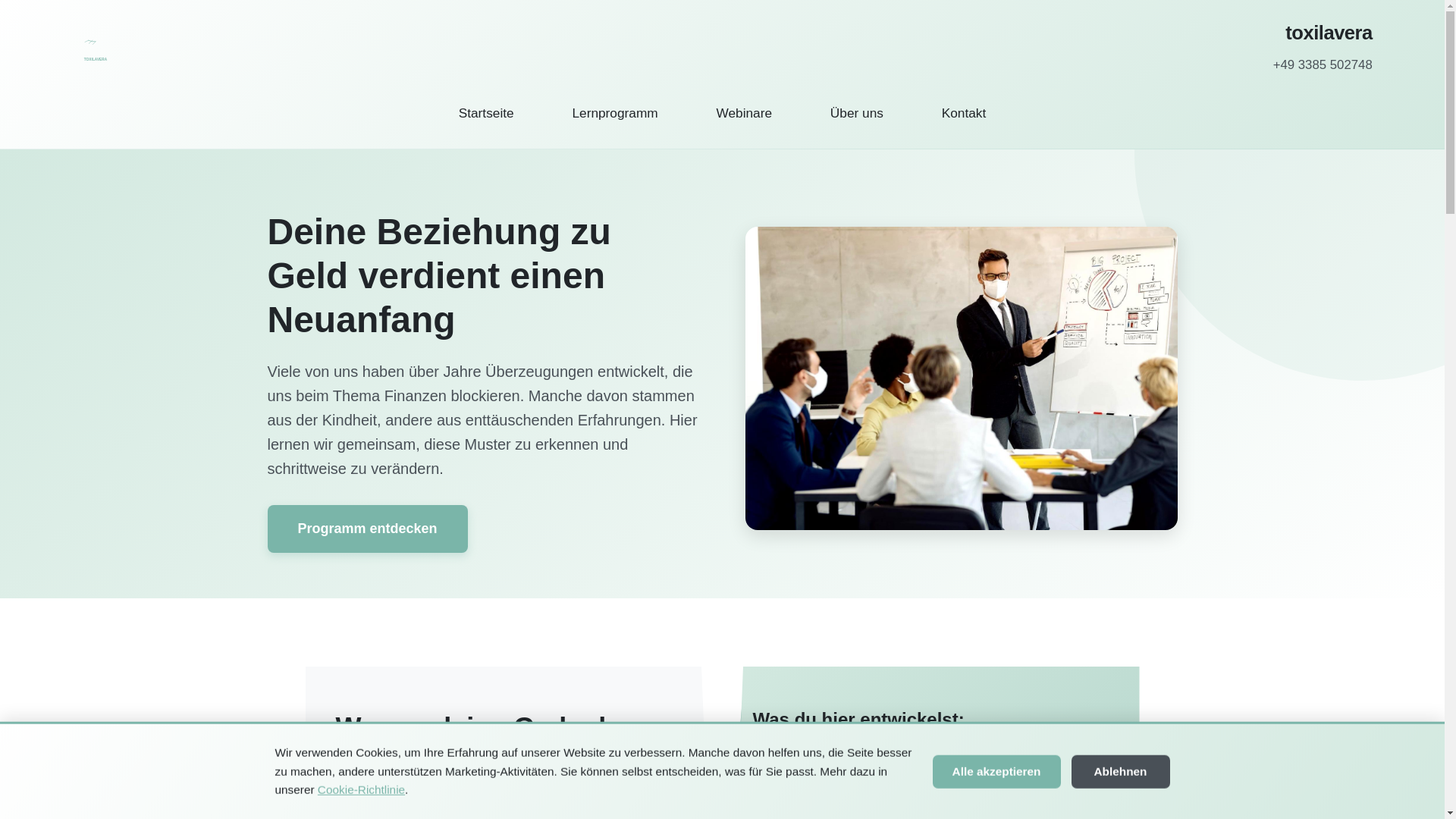 website screenshot of https://toxilavera.com/