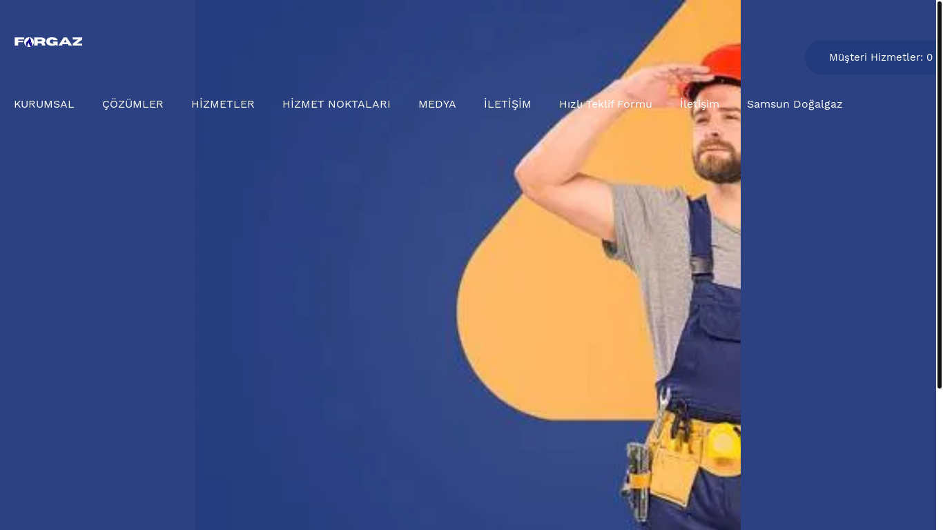 website screenshot of https://forgaz.com