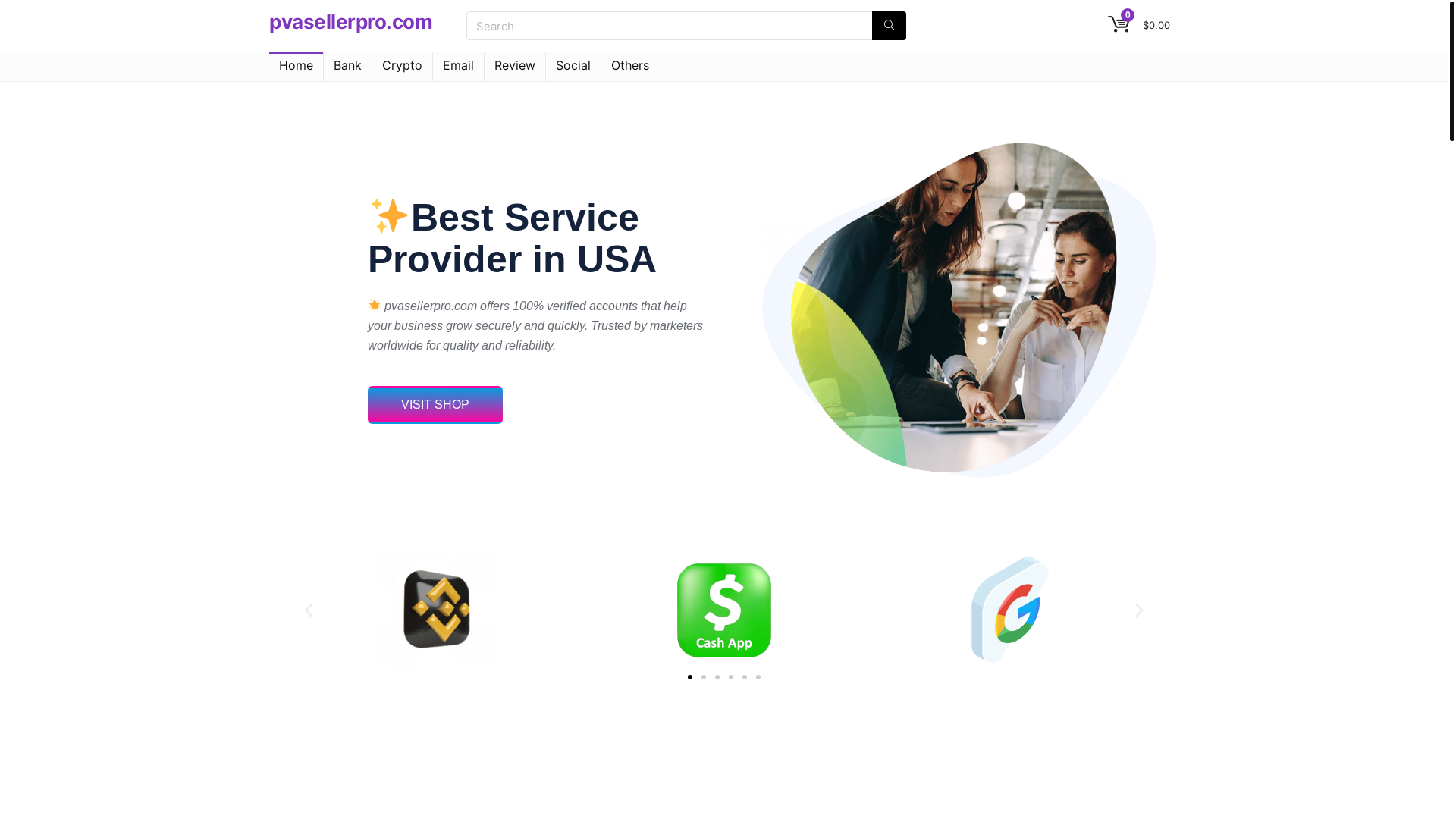 website screenshot of https://pvasellerpro.com/