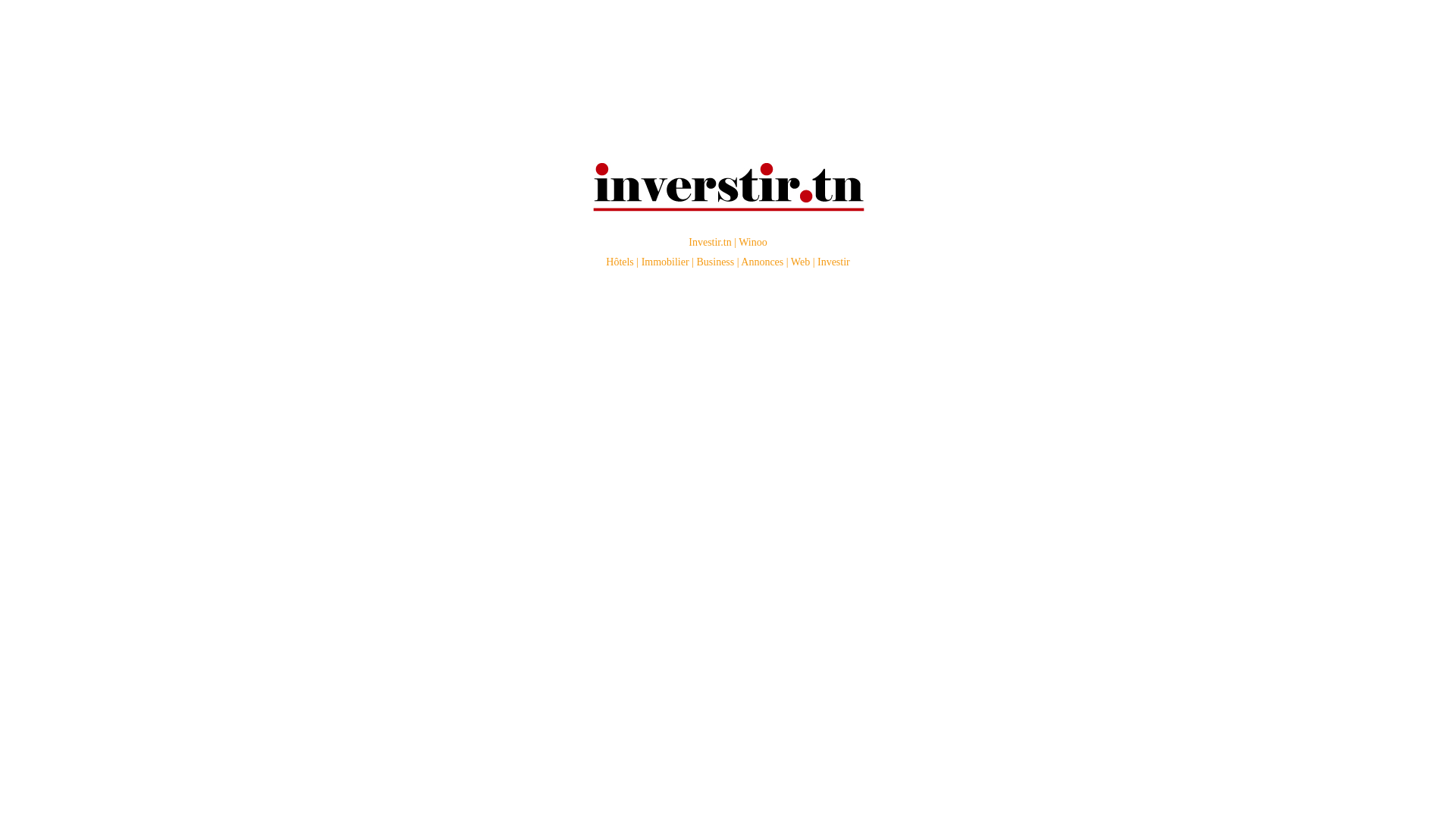 website screenshot of https://investir-tn.pages.dev/