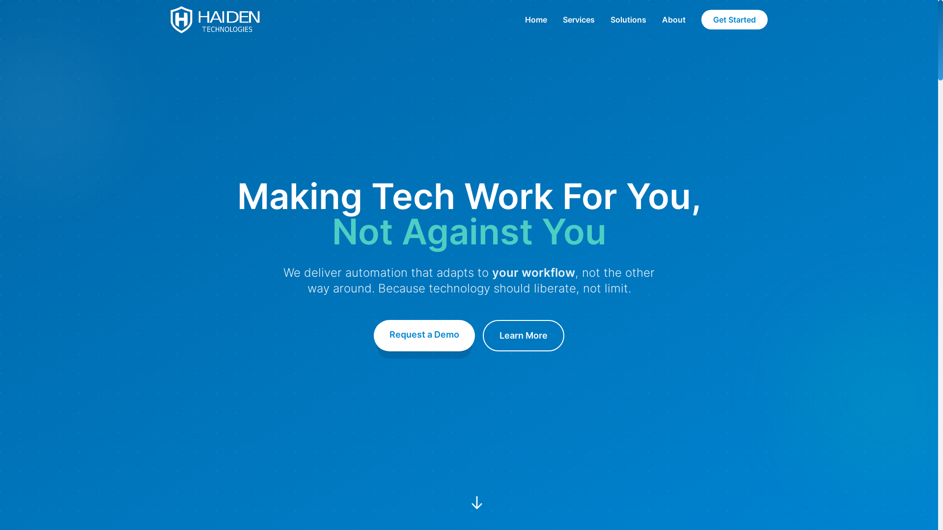 website screenshot of https://haiden.pages.dev/