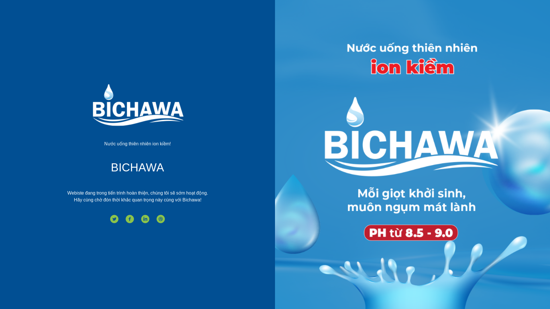 website screenshot of https://bichawa.vn/