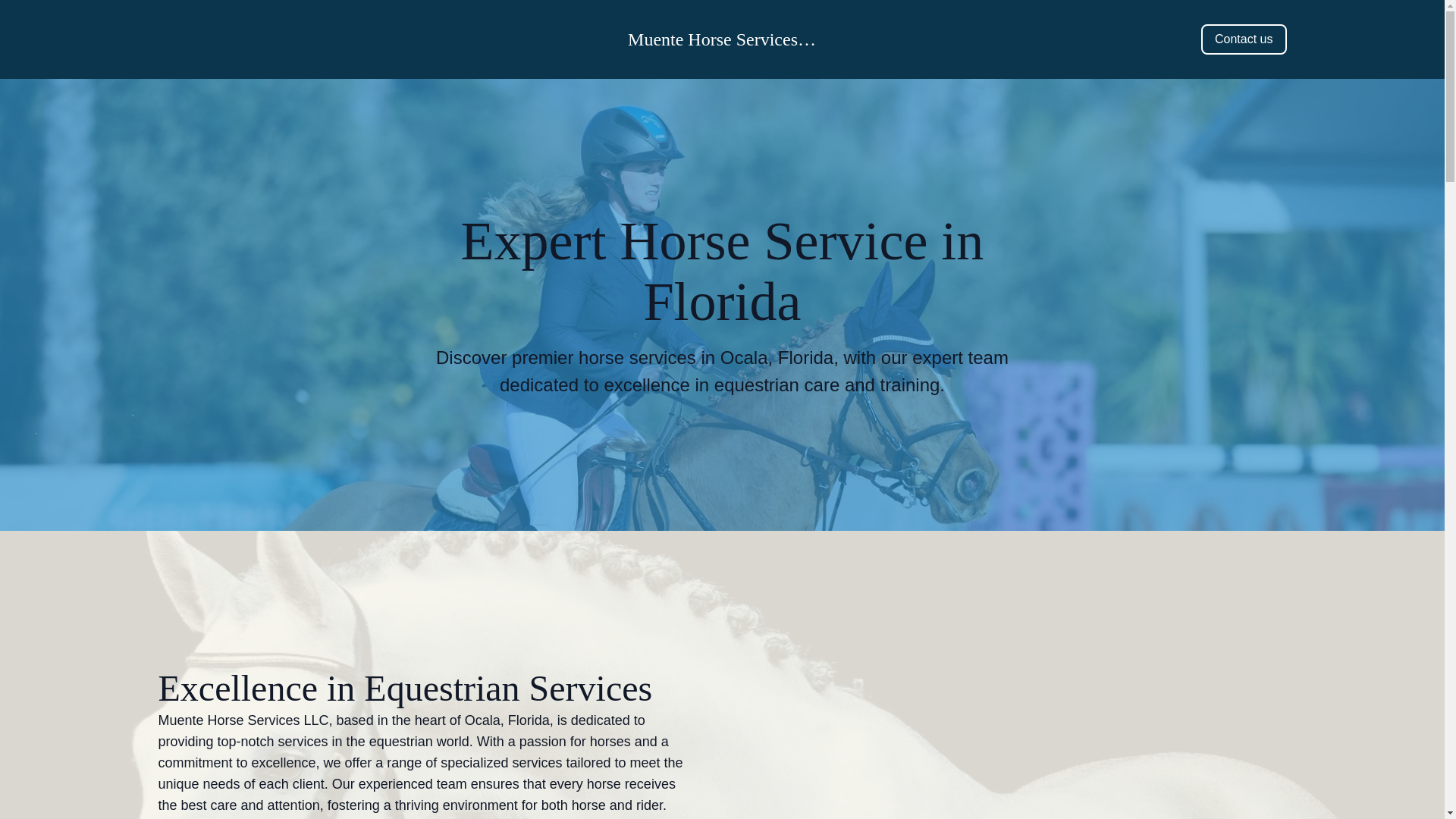 website screenshot of https://muentehorsebusinesses.com/