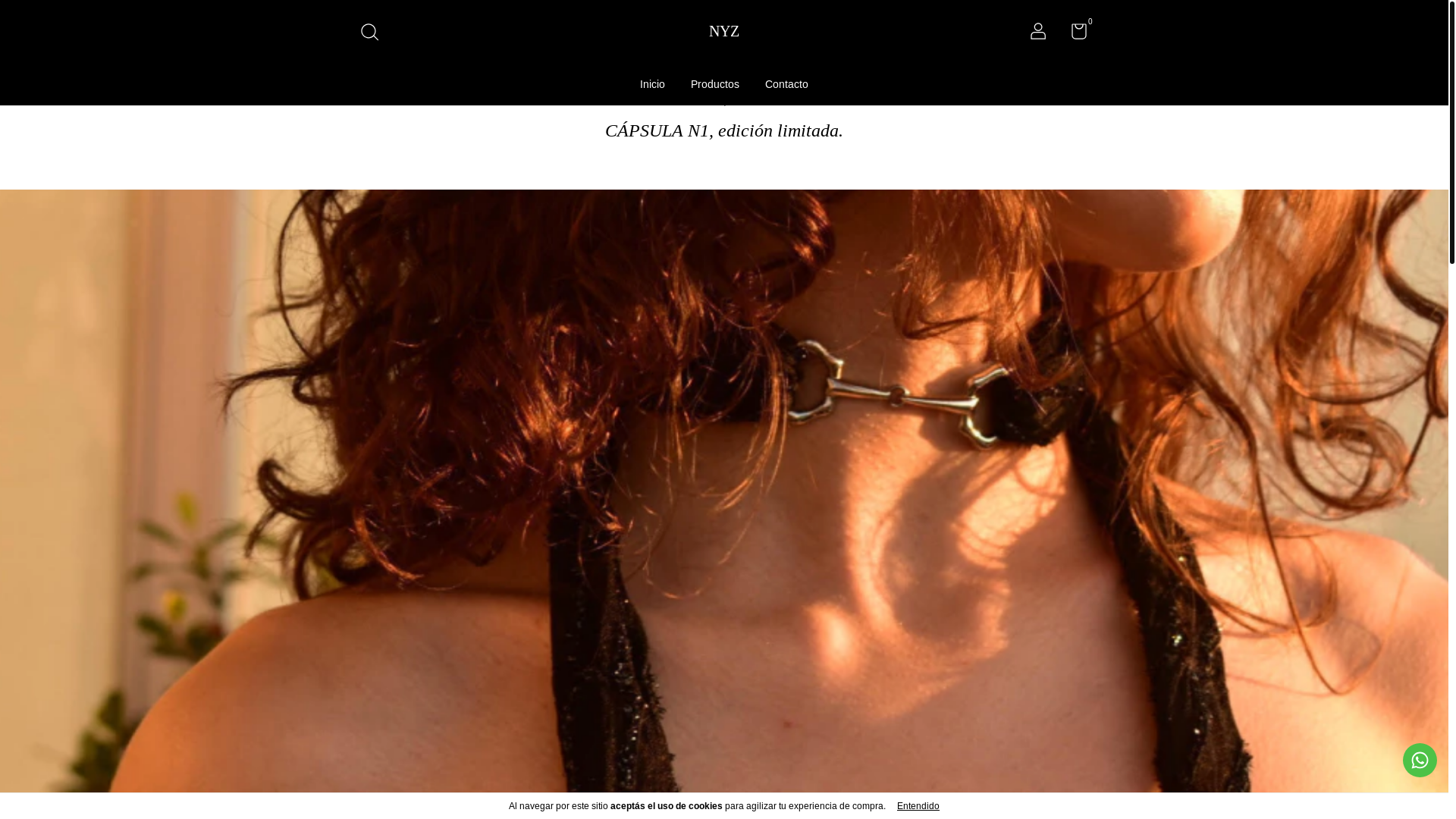 website screenshot of https://nyzatelier.com.ar/