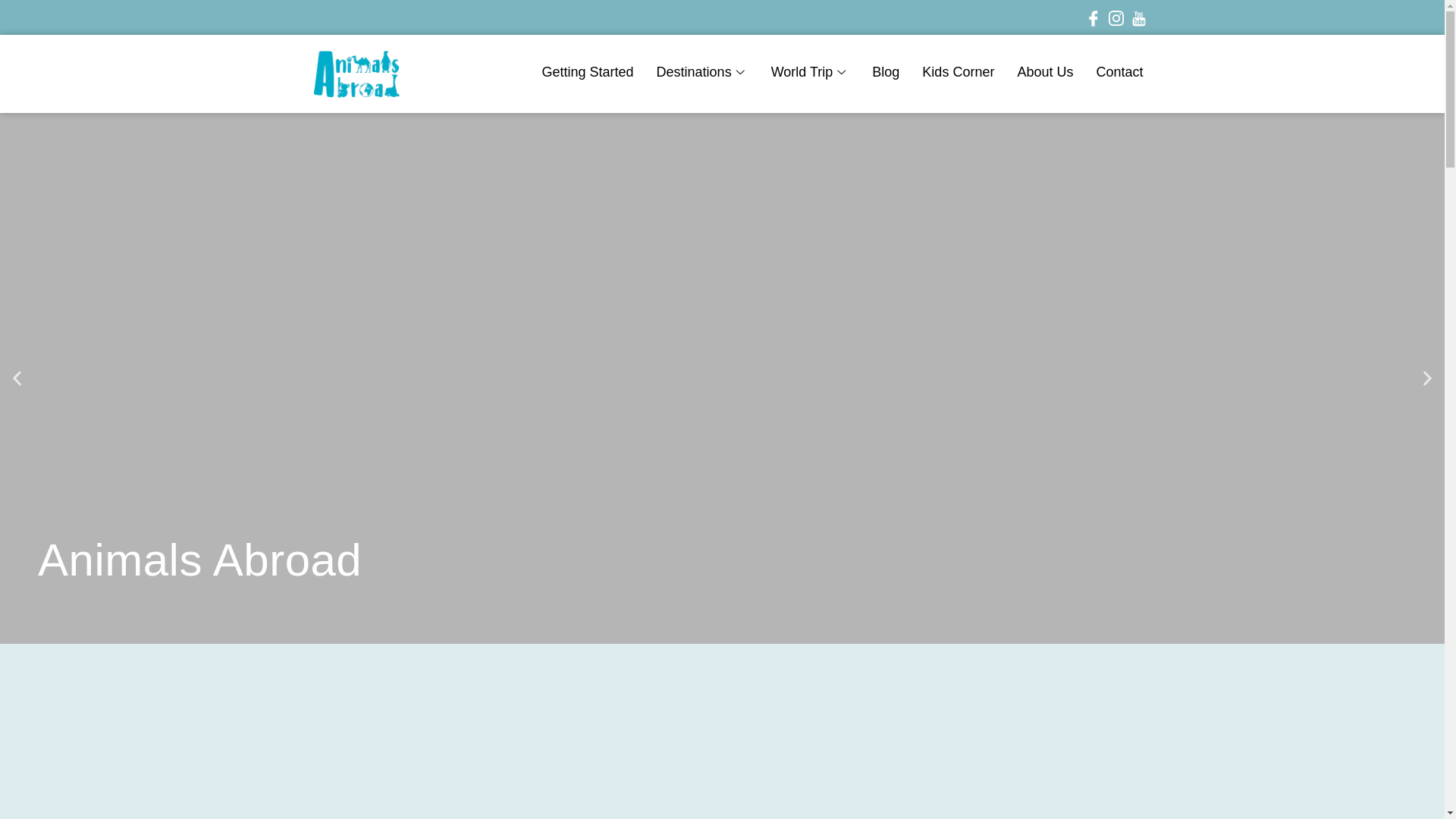 website screenshot of https://animalsabroad.com