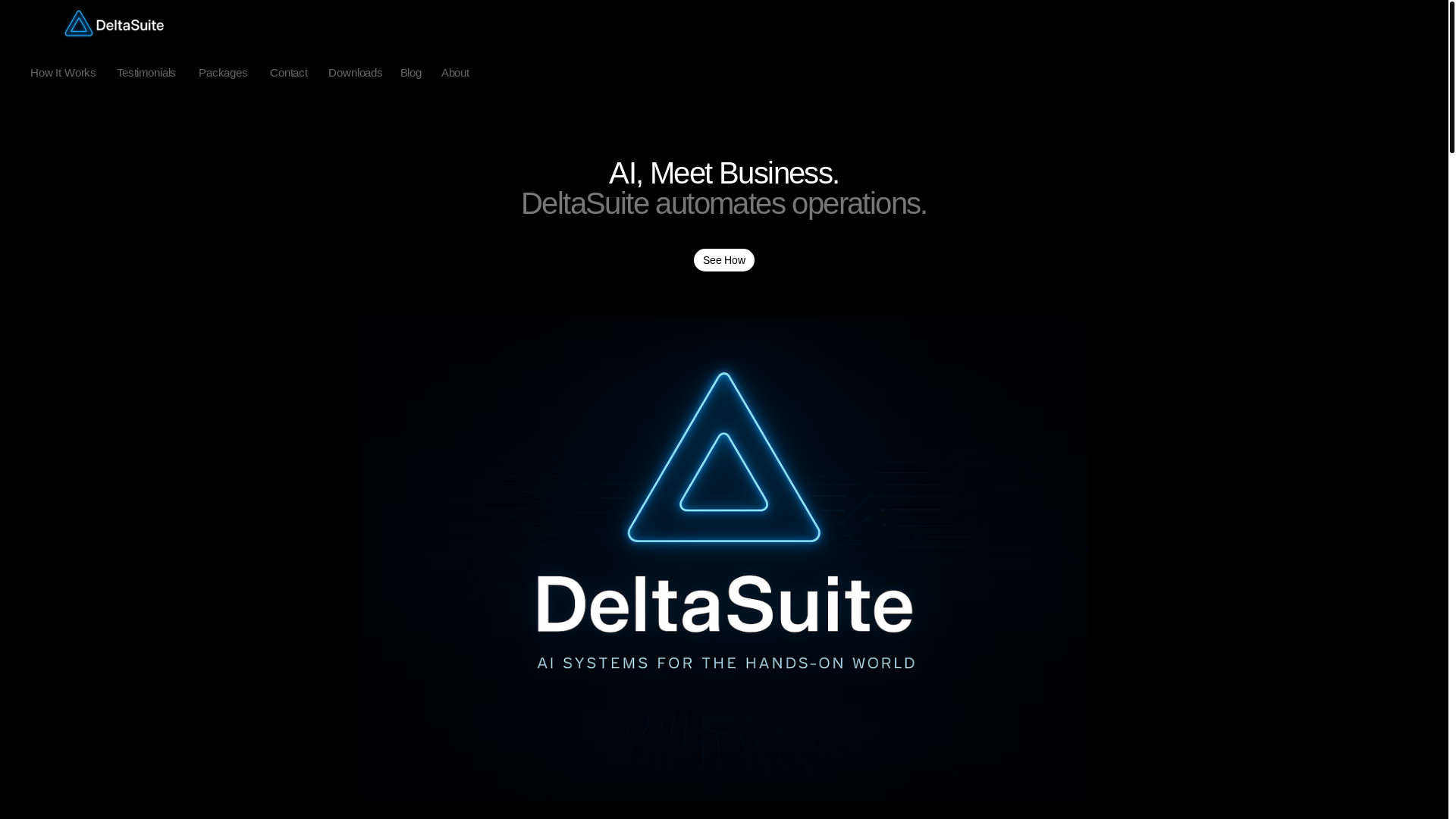 website screenshot of https://deltasuite.io/