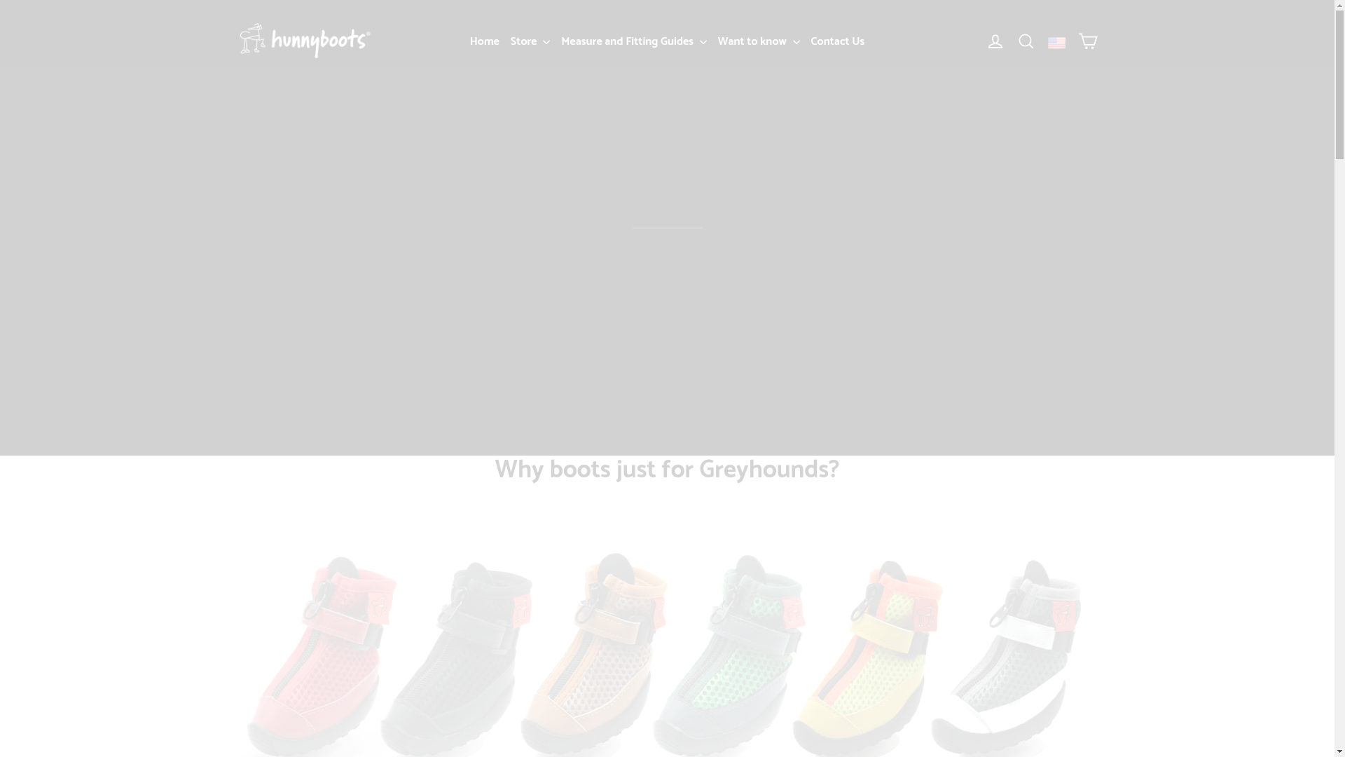 website screenshot of https://hunnybootsusa.com/