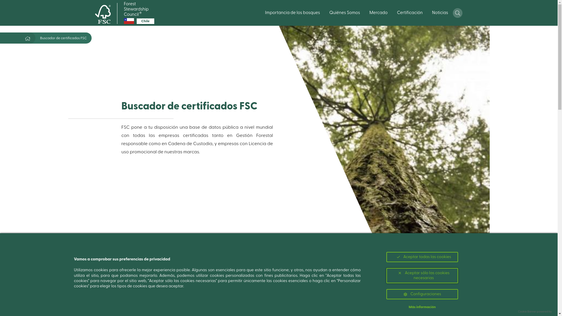 website screenshot of https://cl.fsc.org/cl-es/obten-certificacion/buscador-de-certificados-fsc