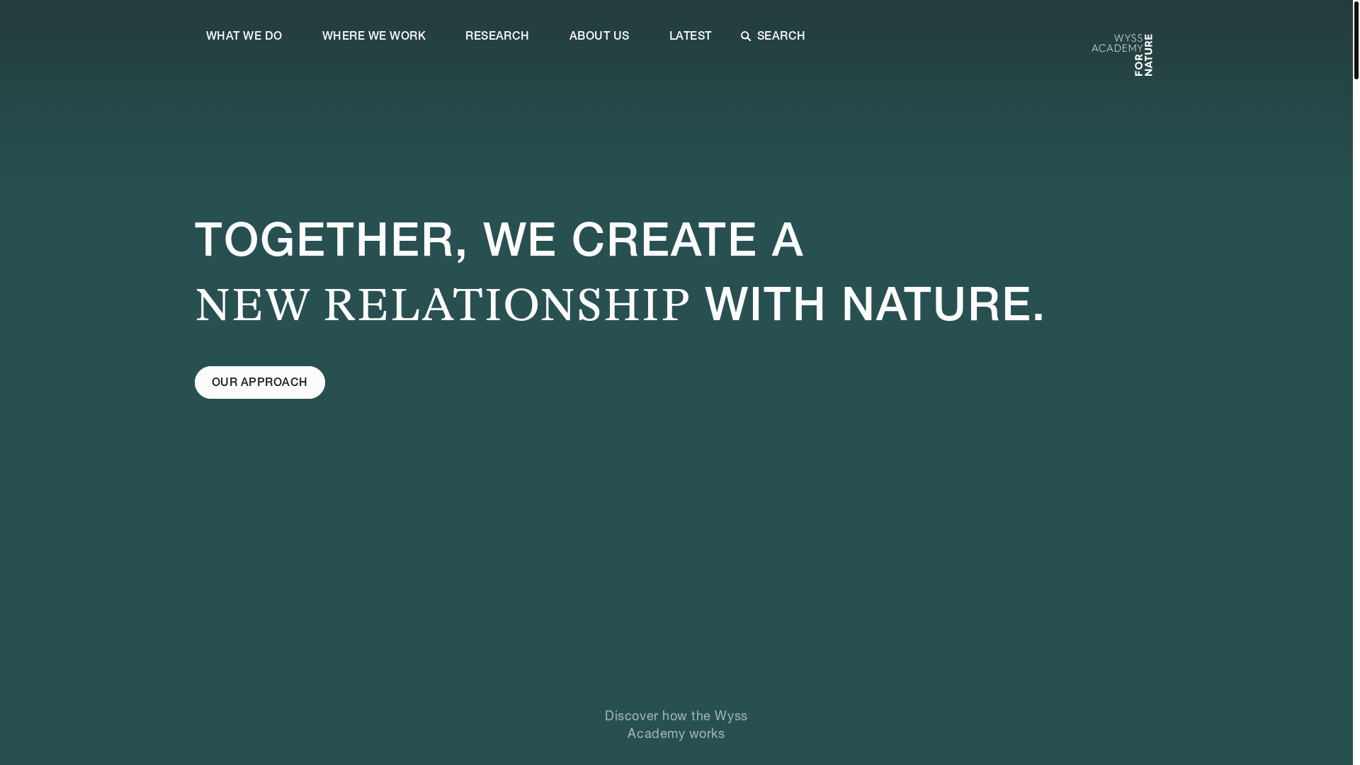 website screenshot of https://wyssacademy-preview.pages.dev/